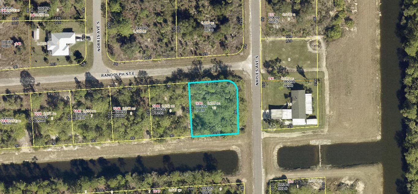 1246 Randolph Street, Lehigh Acres, FL 33974