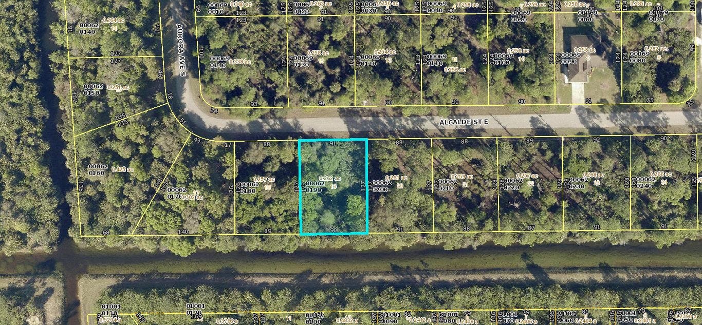 920 Alcalde Street E, Lehigh Acres, FL 33974