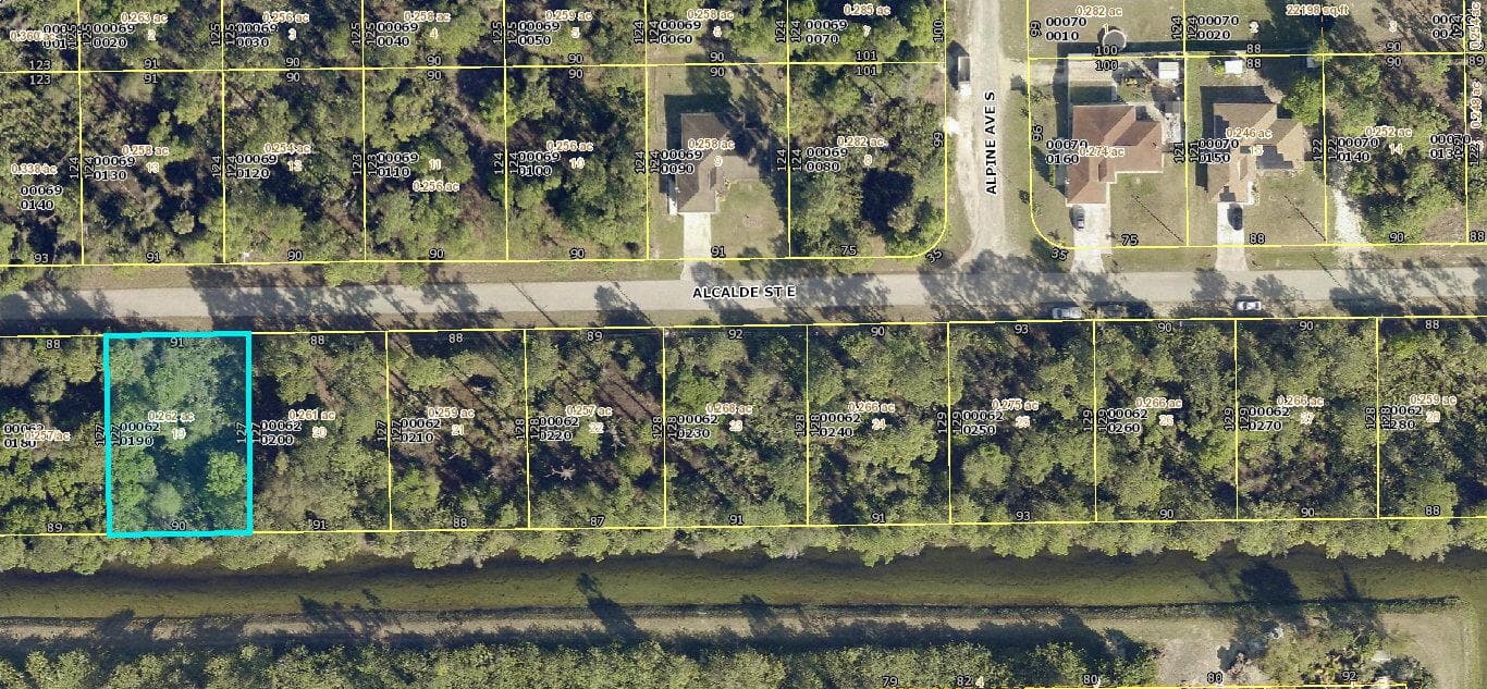 920 Alcalde Street E, Lehigh Acres, FL 33974 2