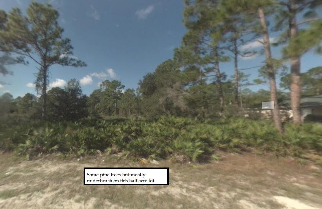 2309 Johns Avenue, Alva, FL 33920 5