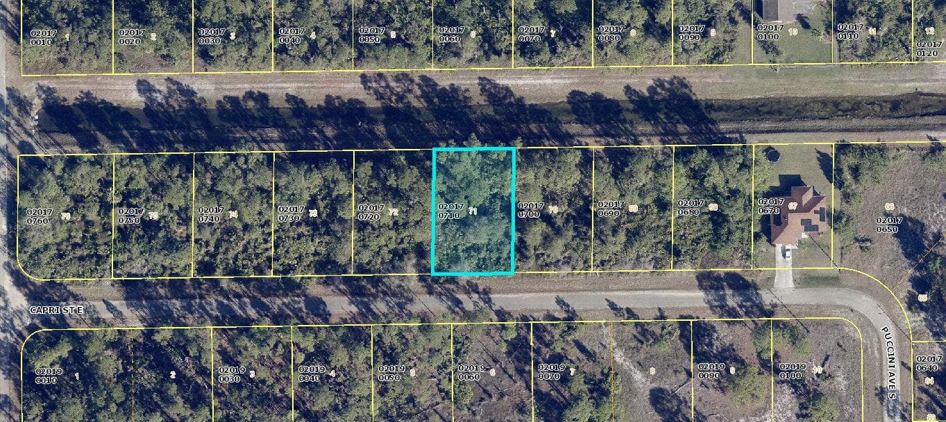 1113 Capri Street E, Lehigh Acres, FL 33974 2