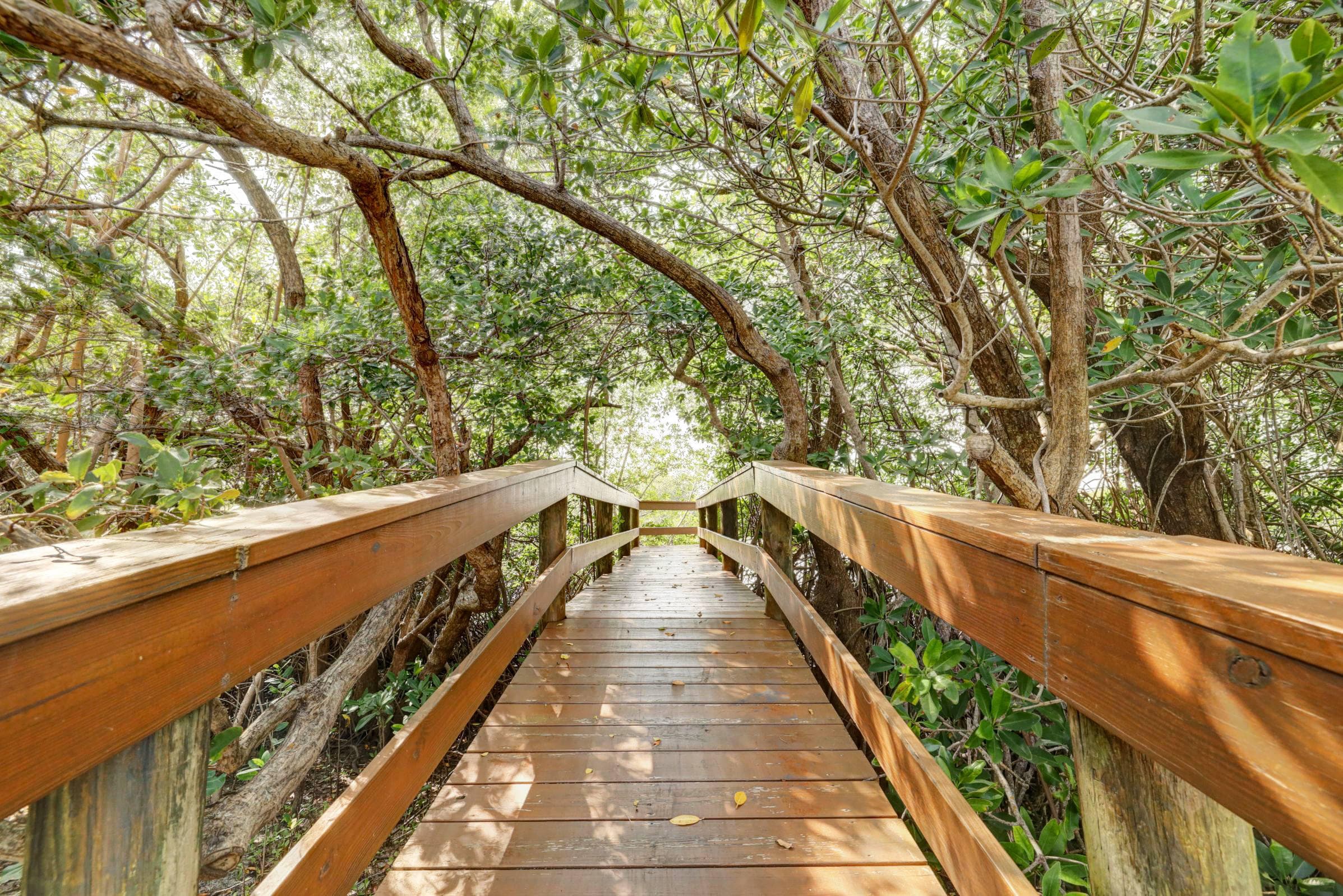 5055 N Highway A1A 605, Hutchinson Island, FL 34949 55