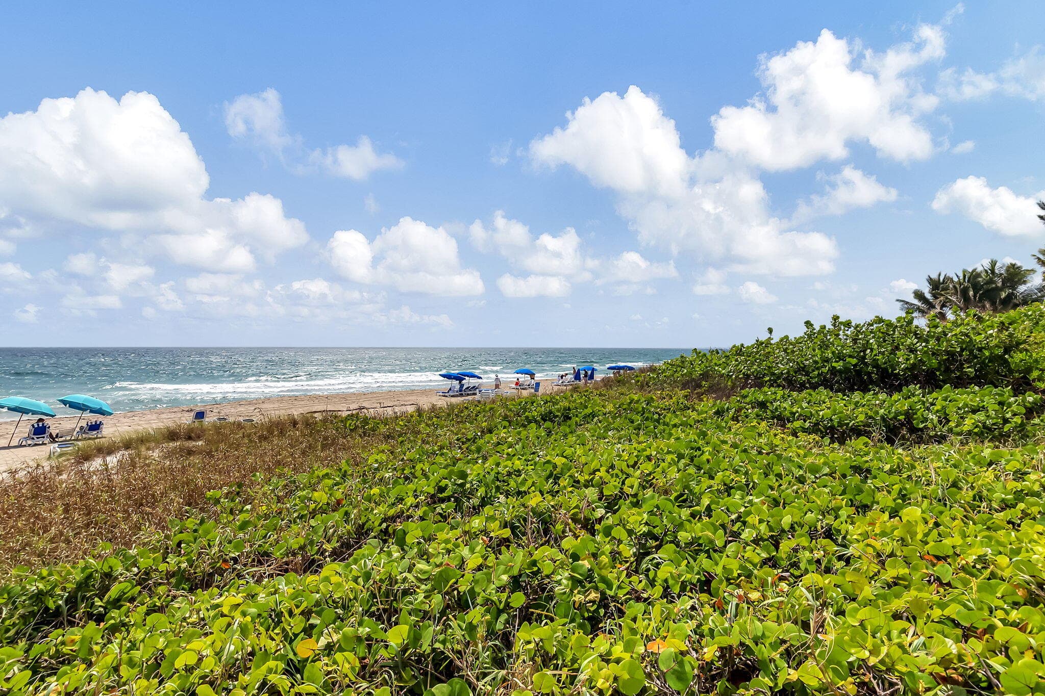 2727 S Ocean Boulevard 403, Highland Beach, FL 33487 35