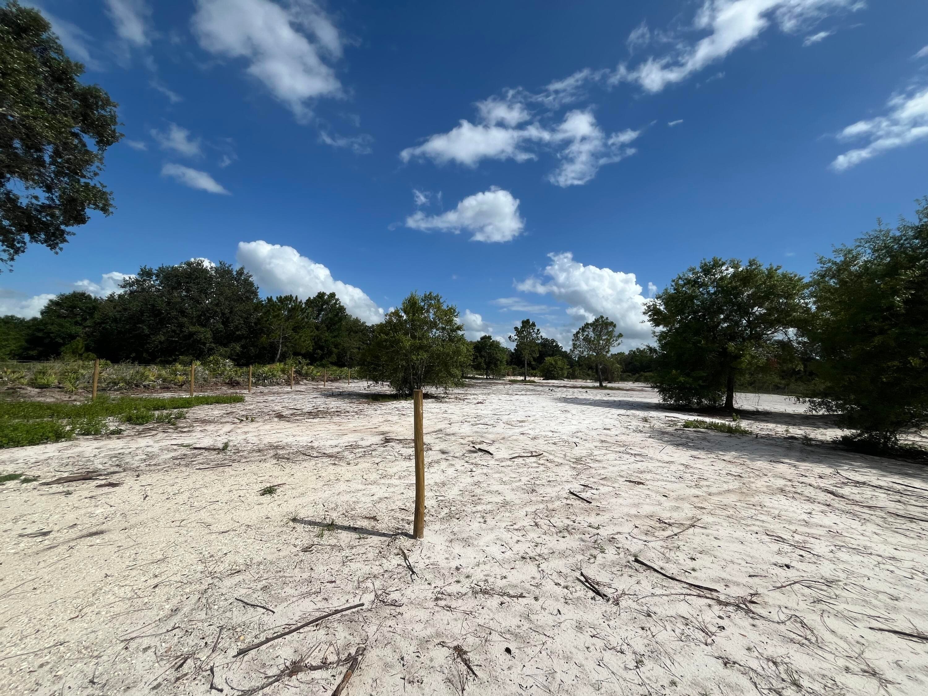 16916 NW 262nd Street, Okeechobee, FL 34972 5