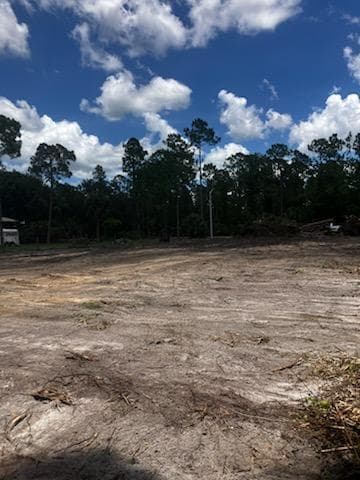 2309 Johns Avenue, Alva, FL 33920 10