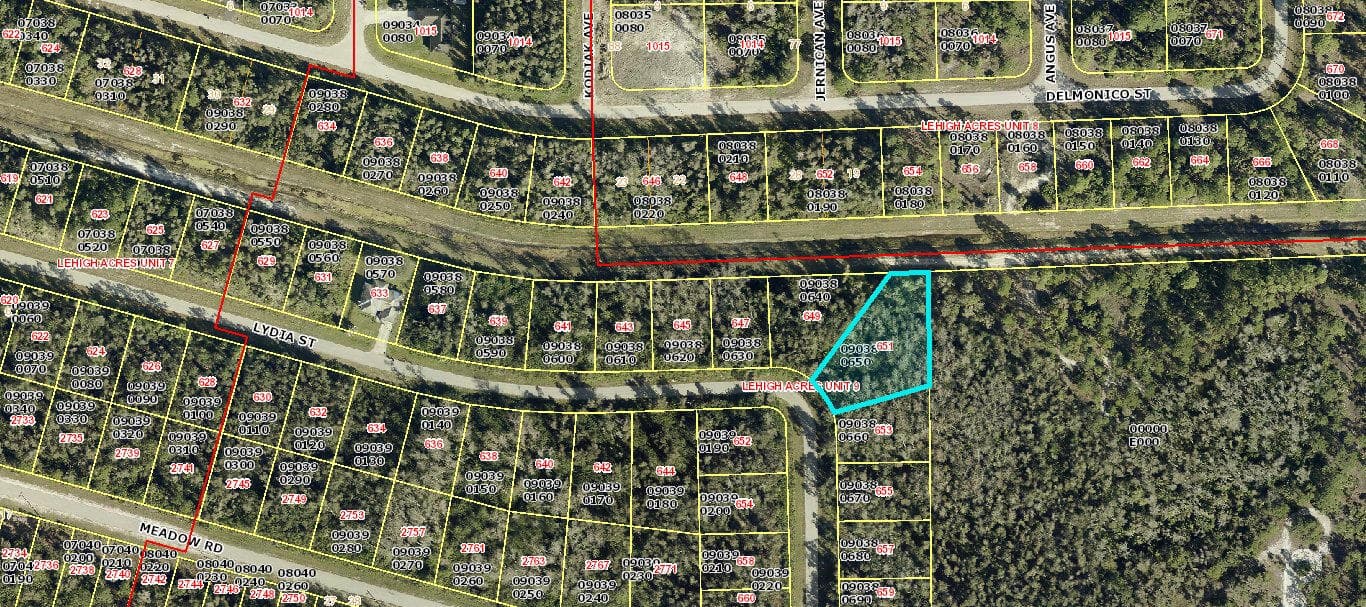 651 Lydia Street, Lehigh Acres, FL 33974 2