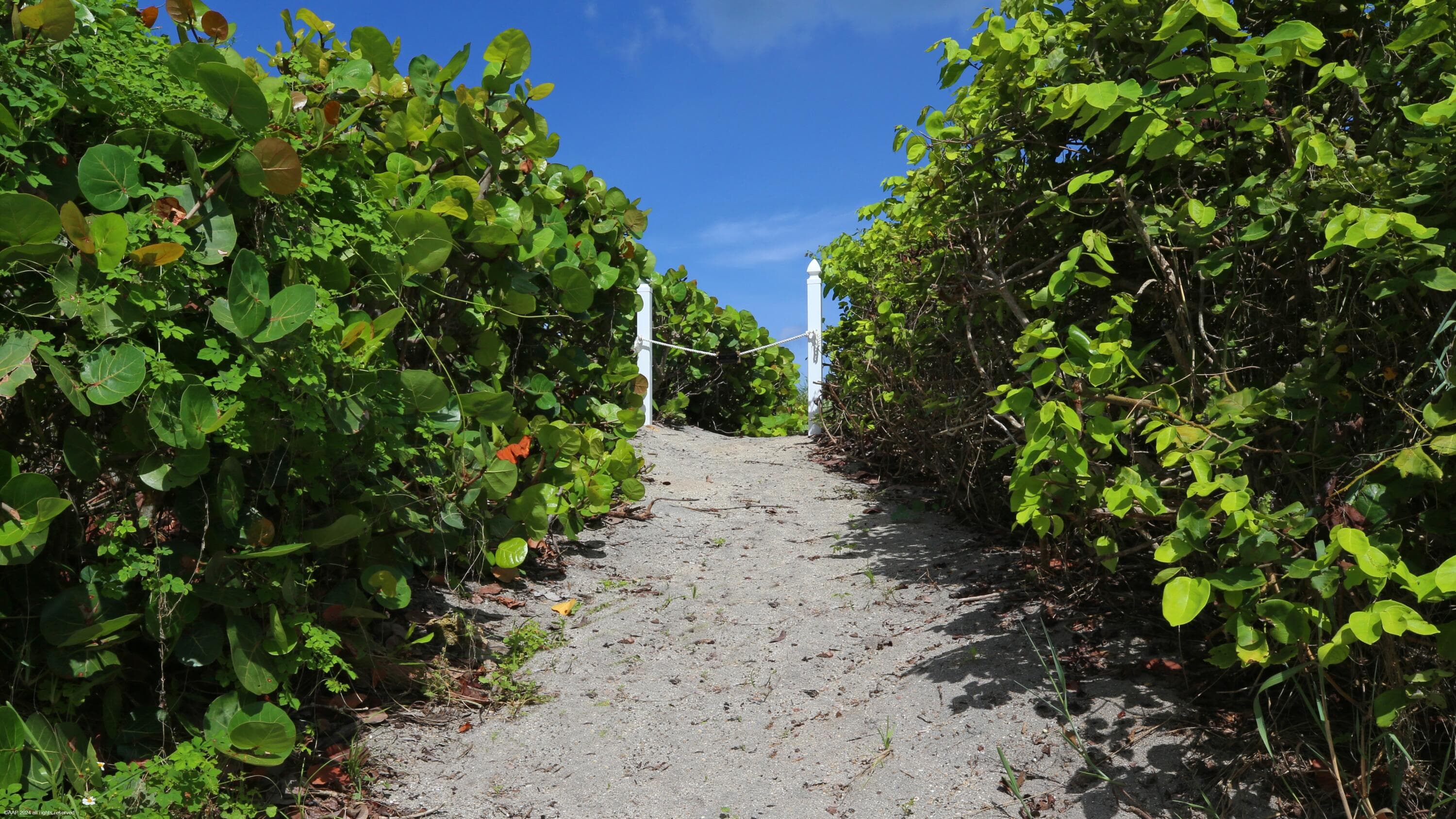 162 N Beach Road, Jupiter Island, FL 33455 66