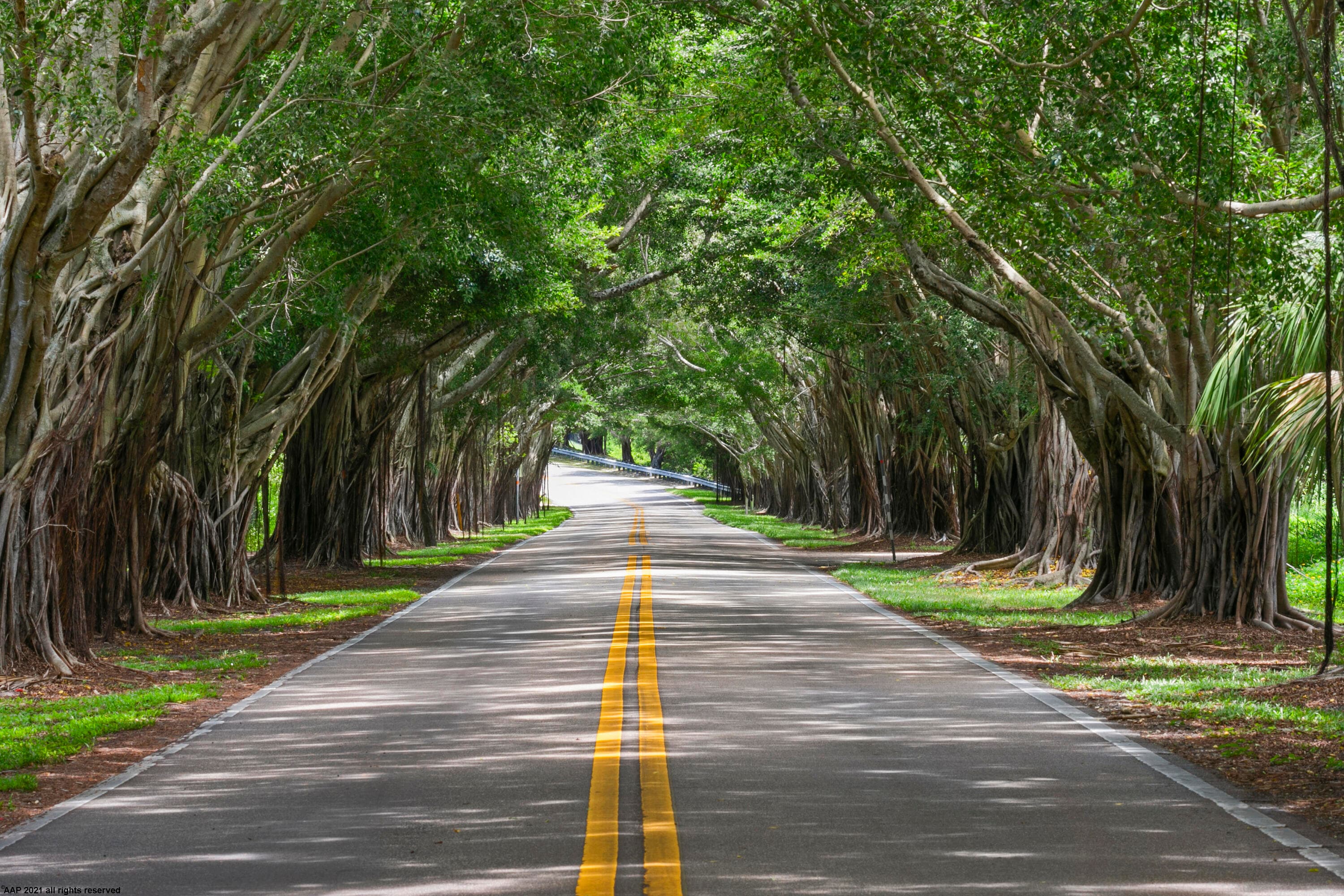 162 N Beach Road, Jupiter Island, FL 33455 69
