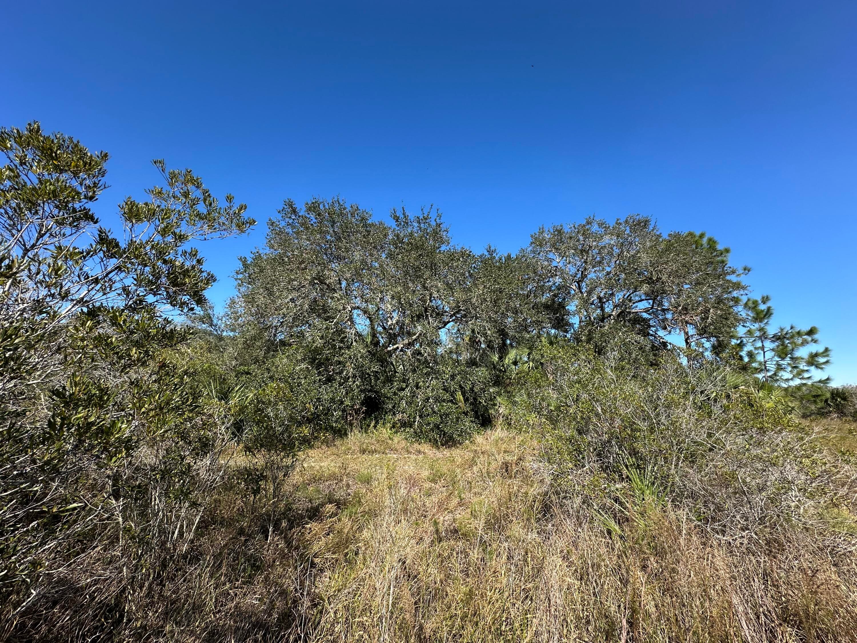 15415 NW 292nd Street, Okeechobee, FL 34972 2