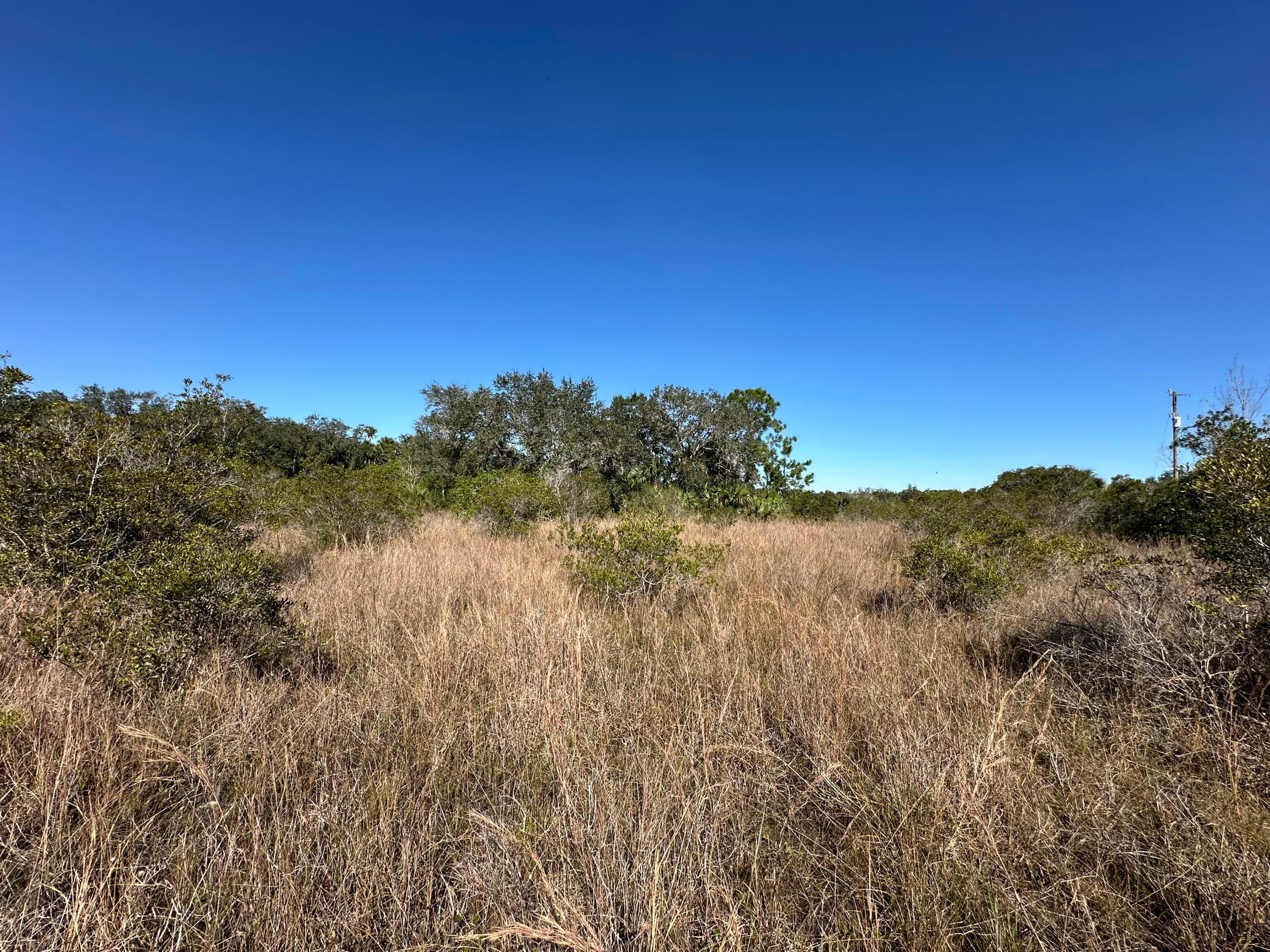 15415 NW 292nd Street, Okeechobee, FL 34972 4