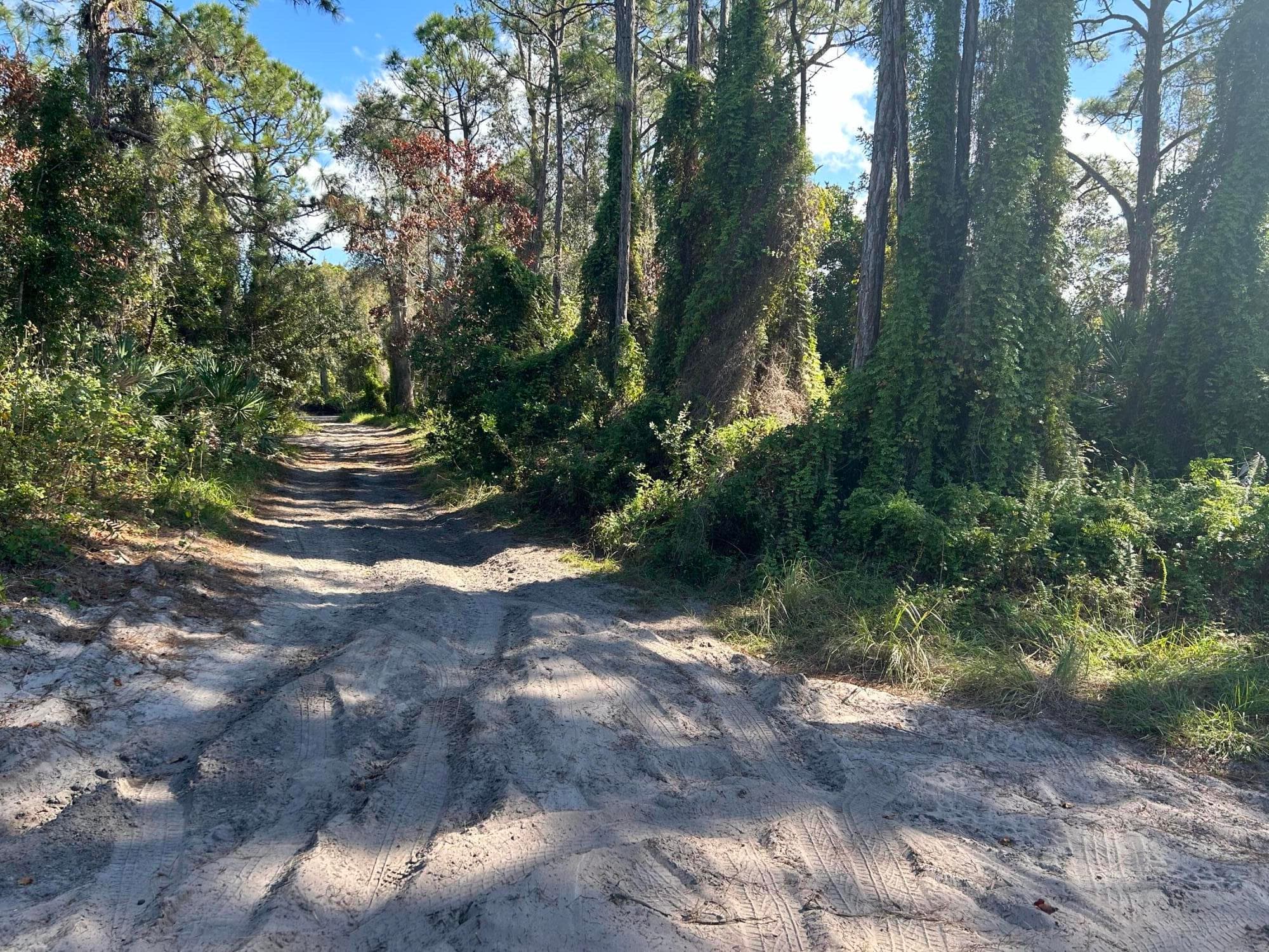 0 Slash Pine Trail, Fort Pierce, FL 34945 2