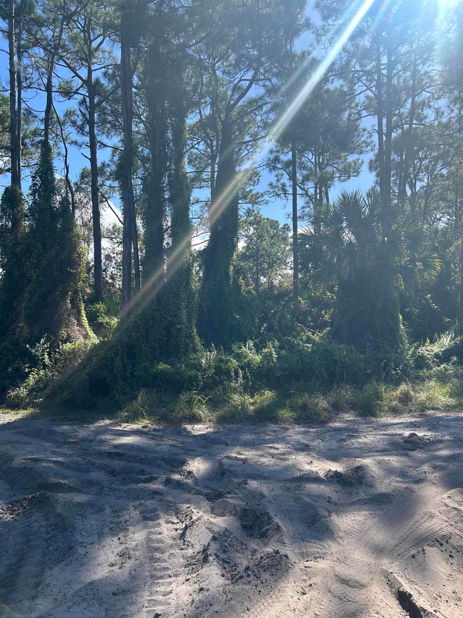 0 Slash Pine Trail, Fort Pierce, FL 34945 3
