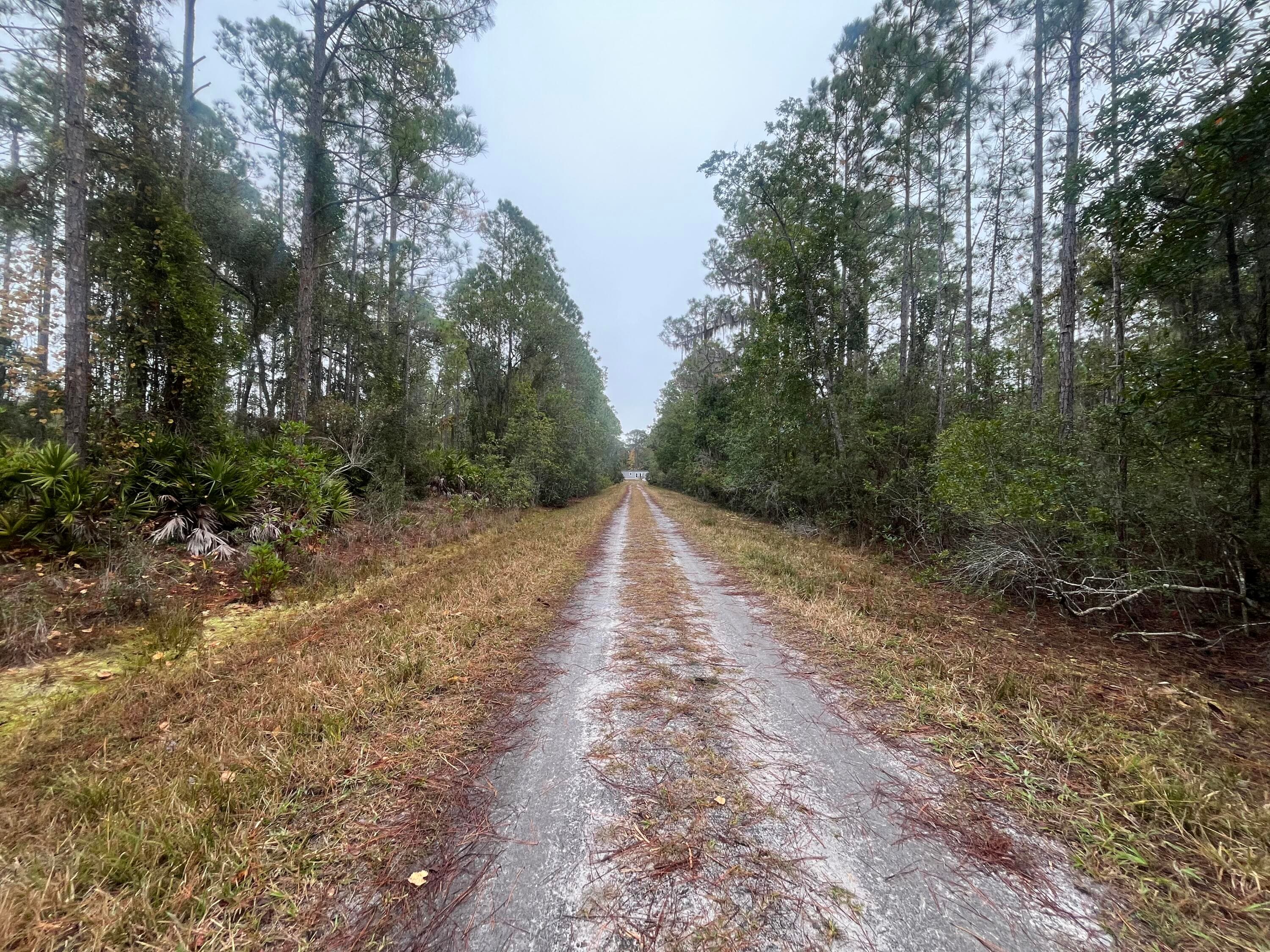 222 Marie Avenue, Georgetown, FL 32139 12