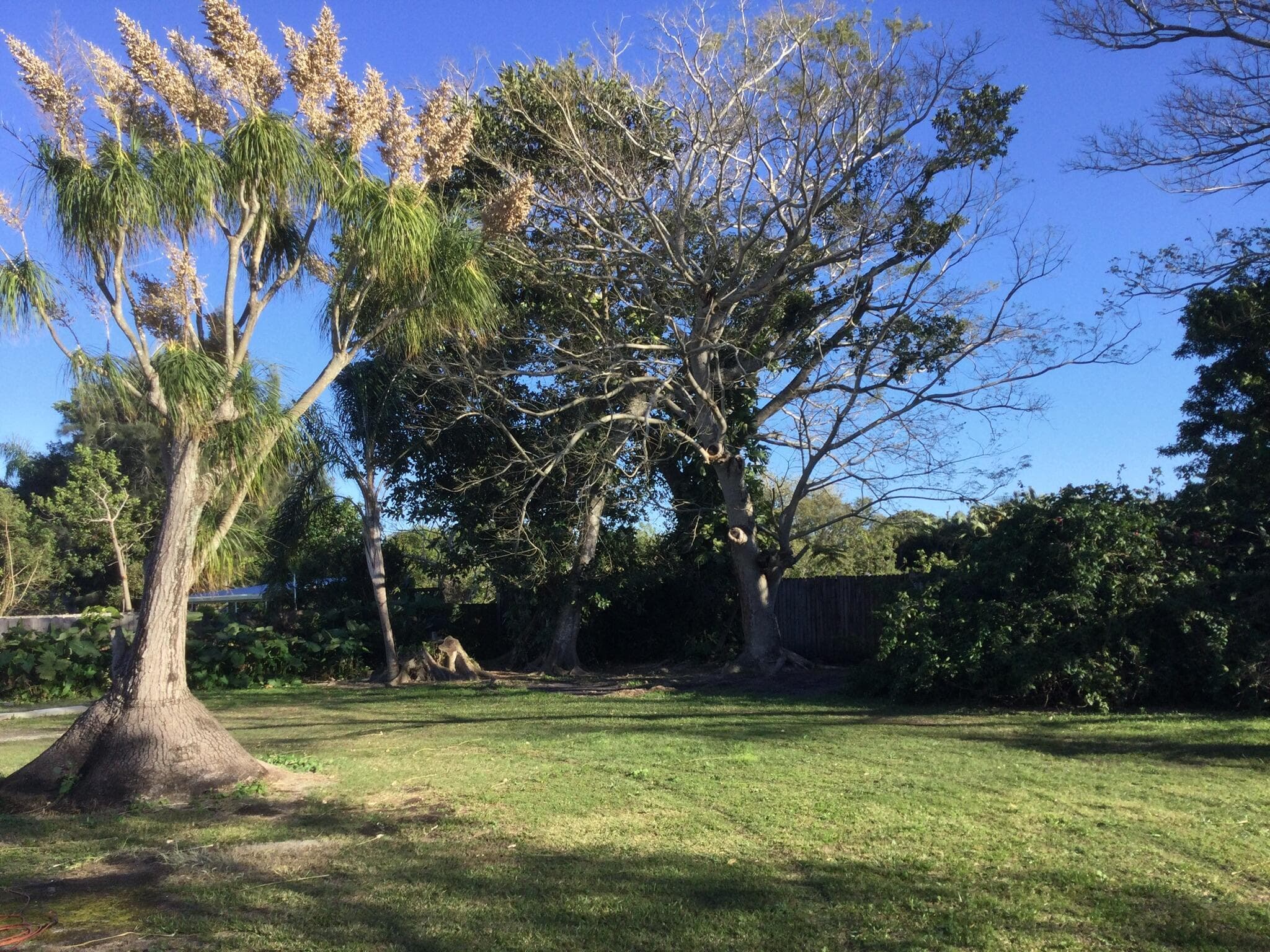 100 SE Naranja Avenue, Port St. Lucie, FL 34983 48