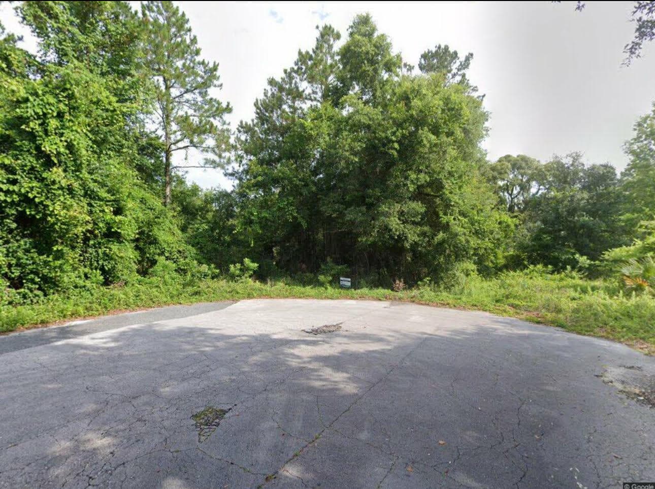 102 SW Green Acres Way, Lake City, FL 32024 3