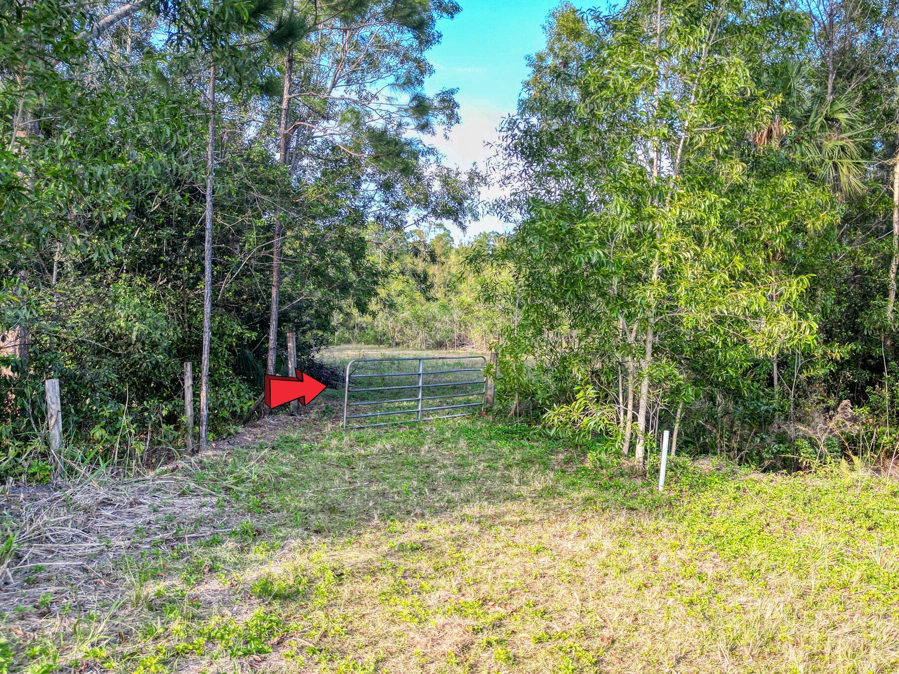 9205 Patricia Lane, Jupiter, FL 33478 7