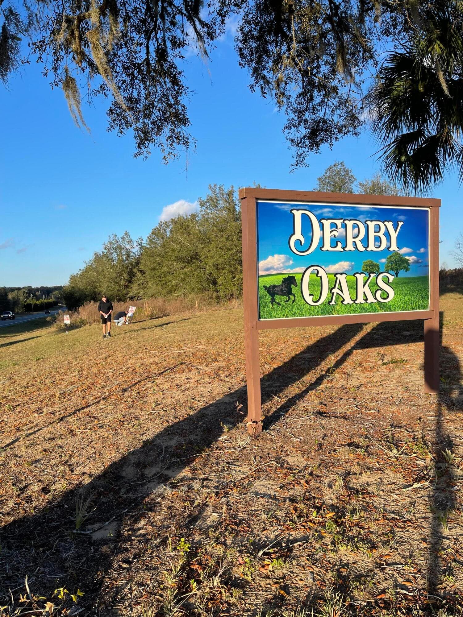 7451 E Derby Oaks Drive, Floral City, FL 34436 3