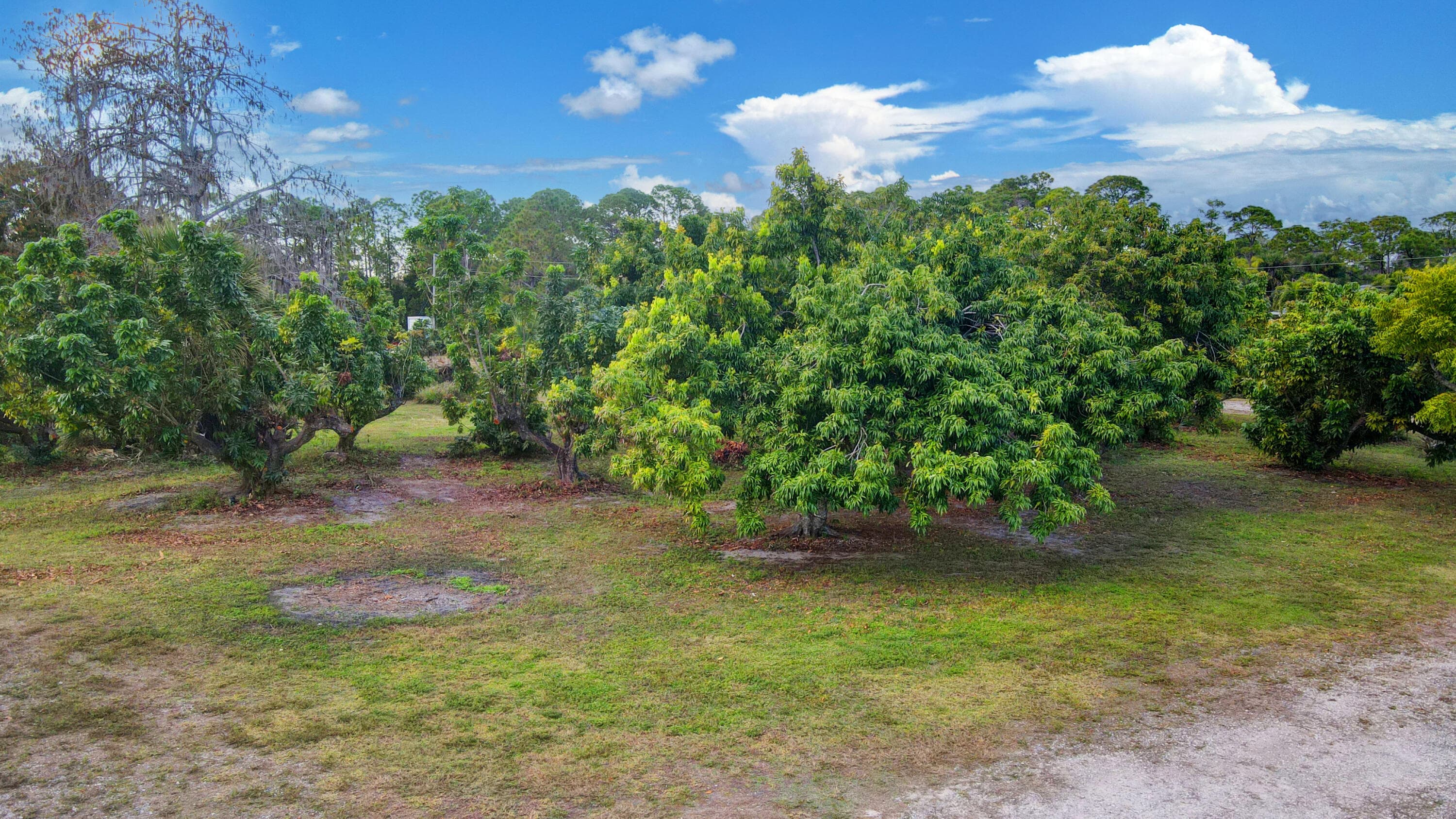 3446 Cabbage Palm Way, Loxahatchee, FL 33470 44
