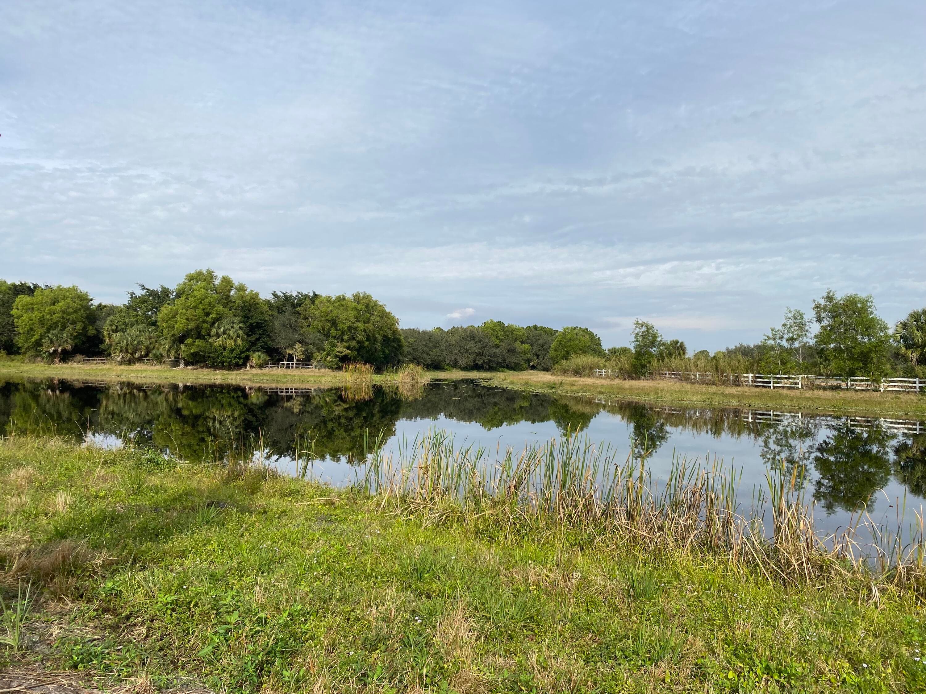 17755 Fox Trail Lane, Loxahatchee, FL 33470 4