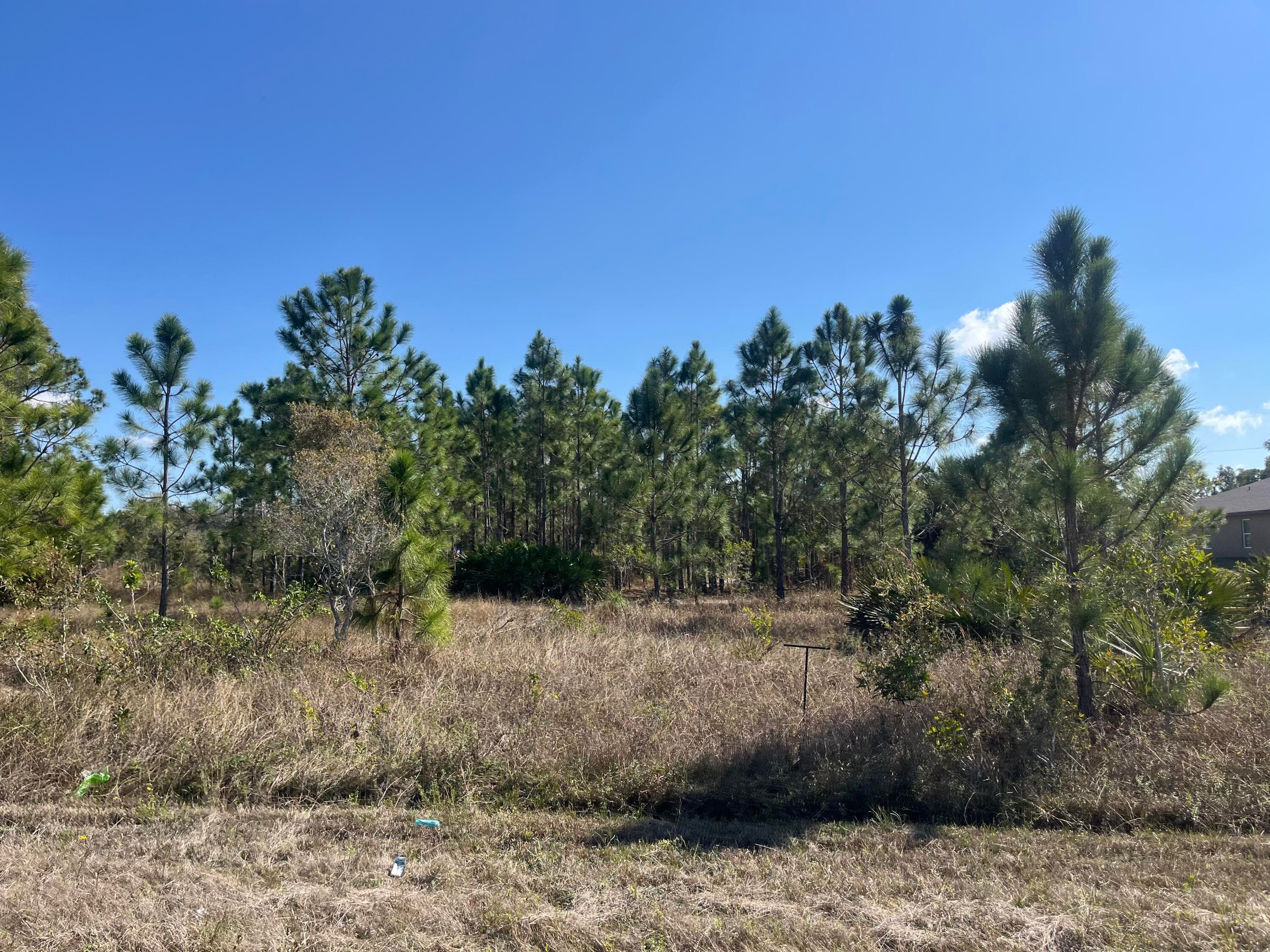 1247 Brunell Avenue, Fort Myers, FL 33913 2
