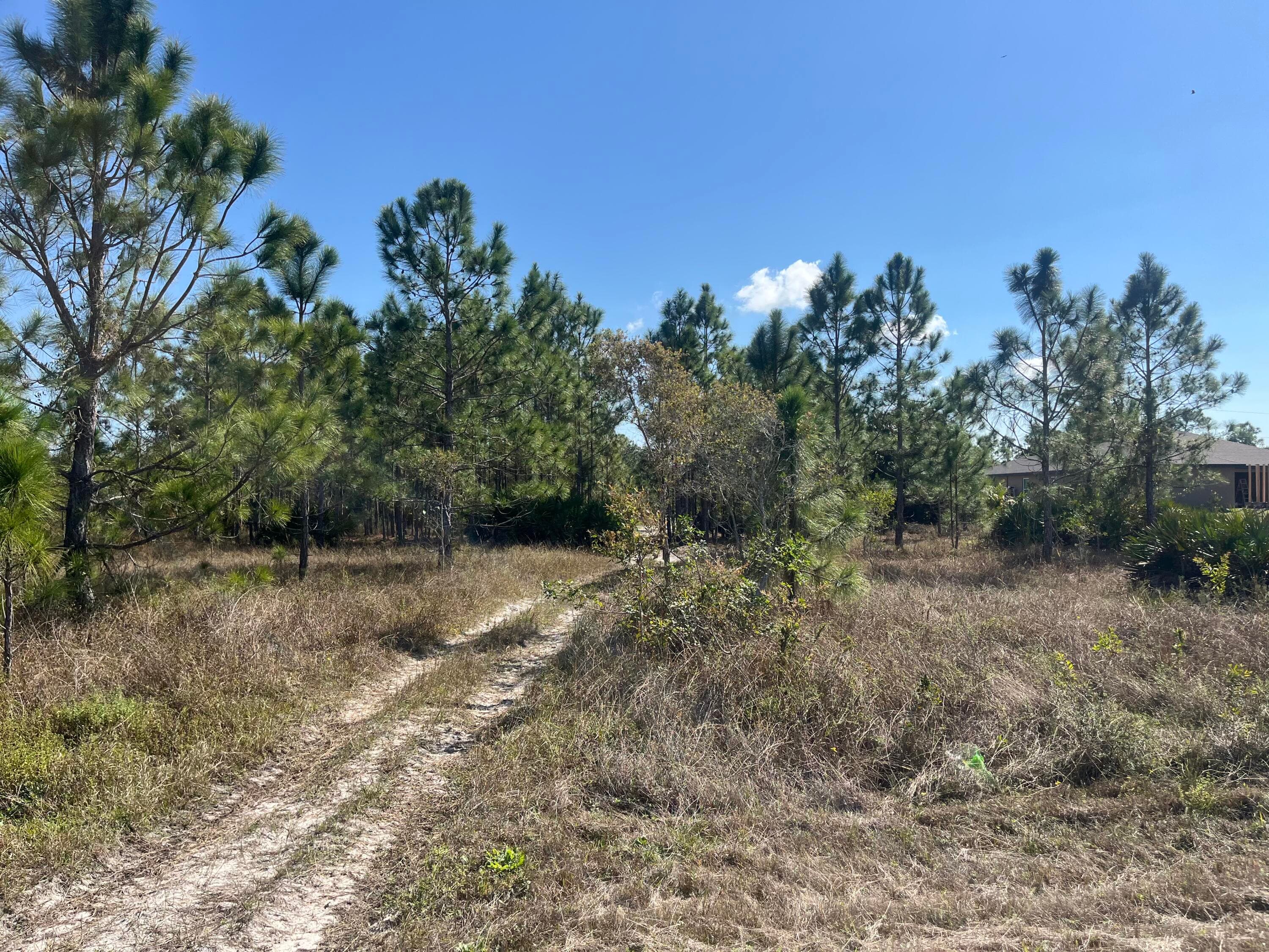 1247 Brunell Avenue, Fort Myers, FL 33913 4
