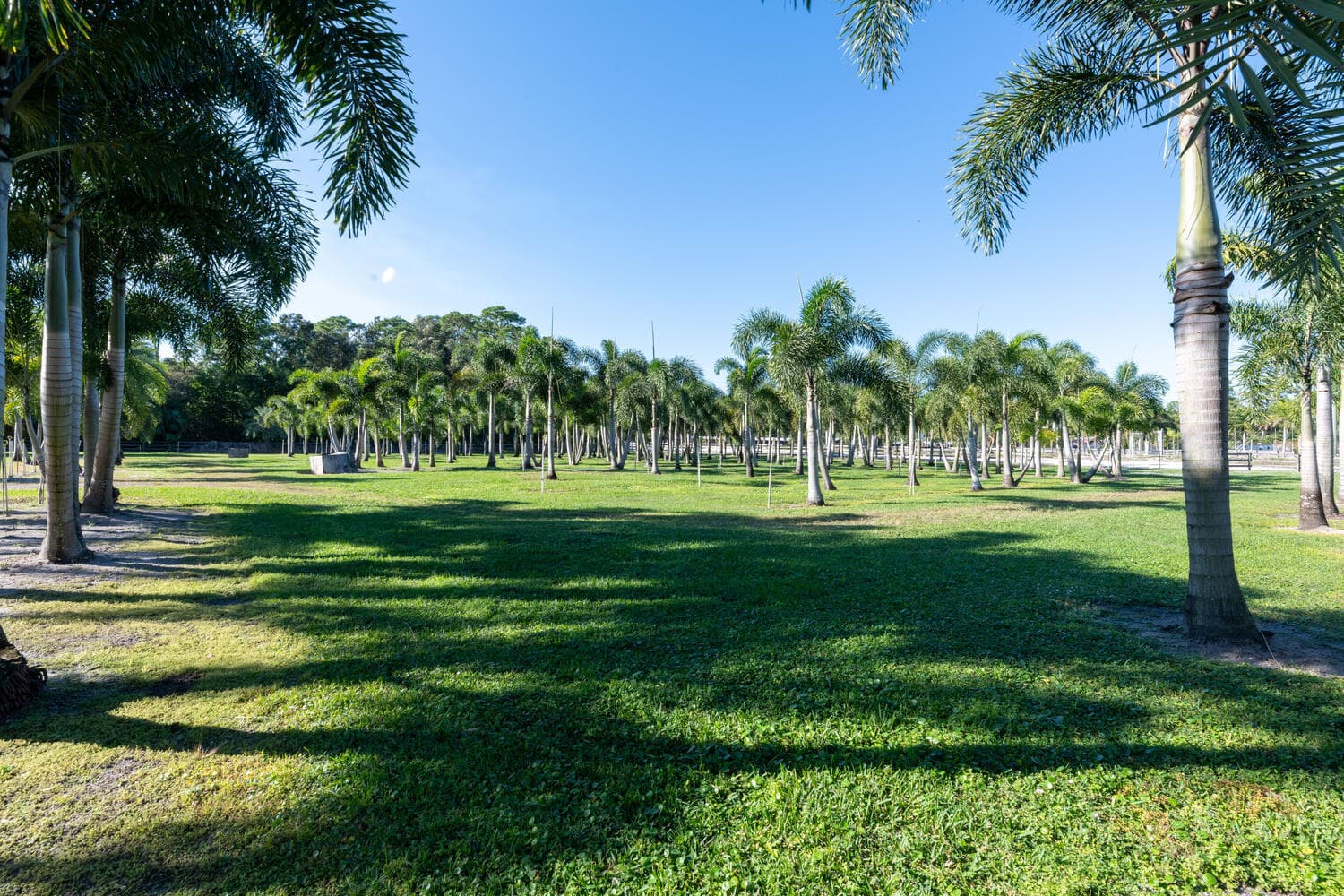 13528 N 6th Court N, Loxahatchee Groves, FL 33470 13