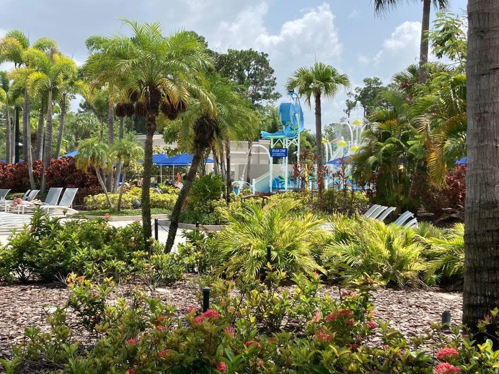 14501 Grove Resort Avenue, Winter Garden, FL 34787 18