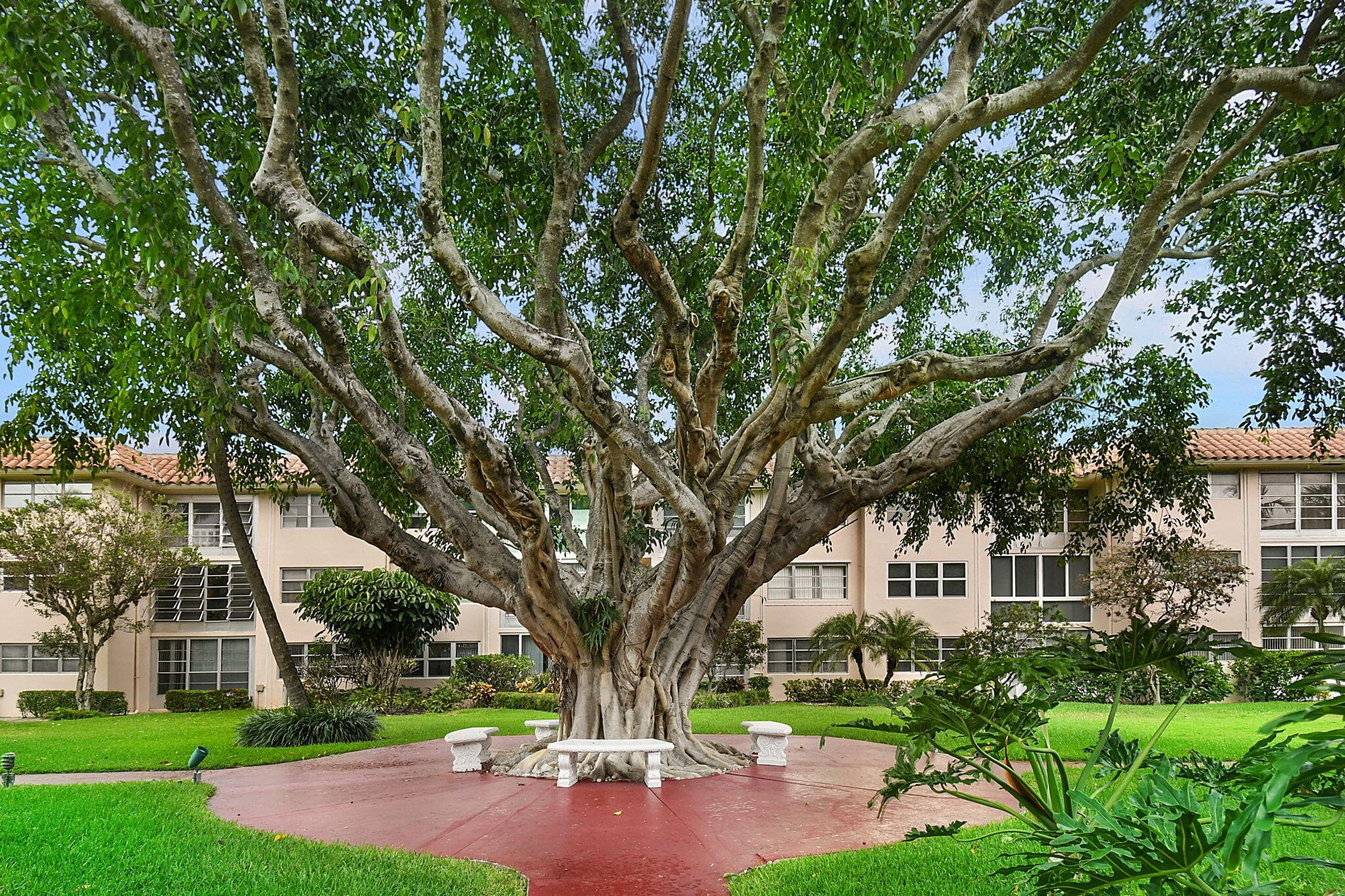 400 NE 20th Street A207, Boca Raton, FL 33431 51