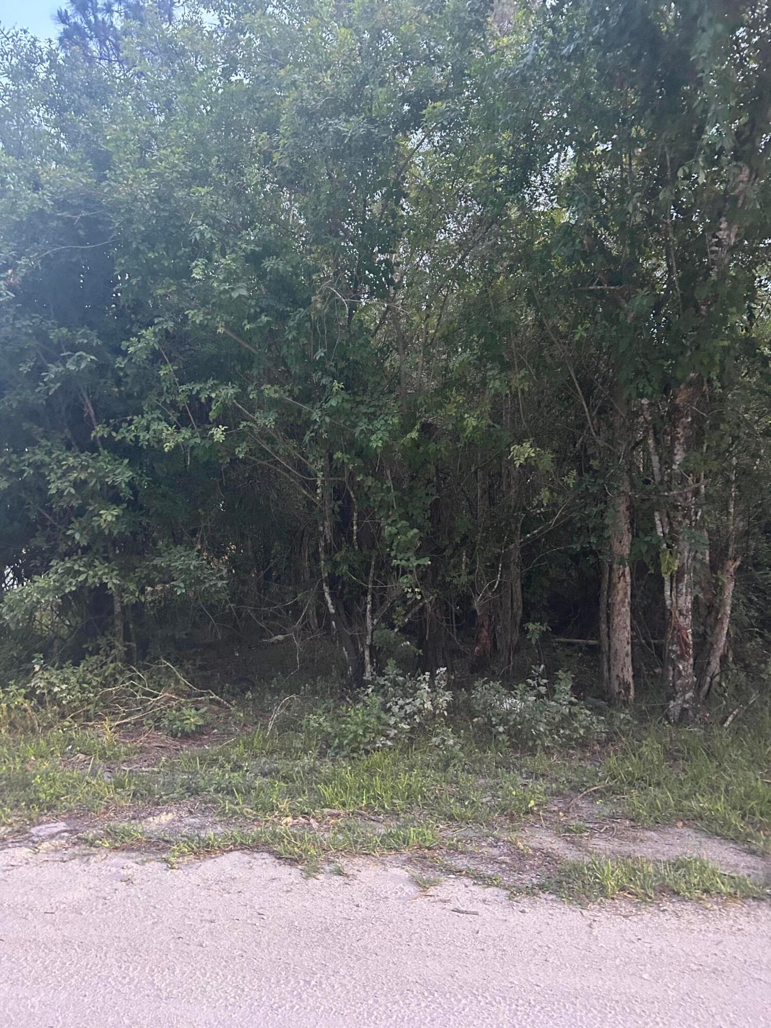 8995 22nd Street, Vero Beach, FL 32966 4