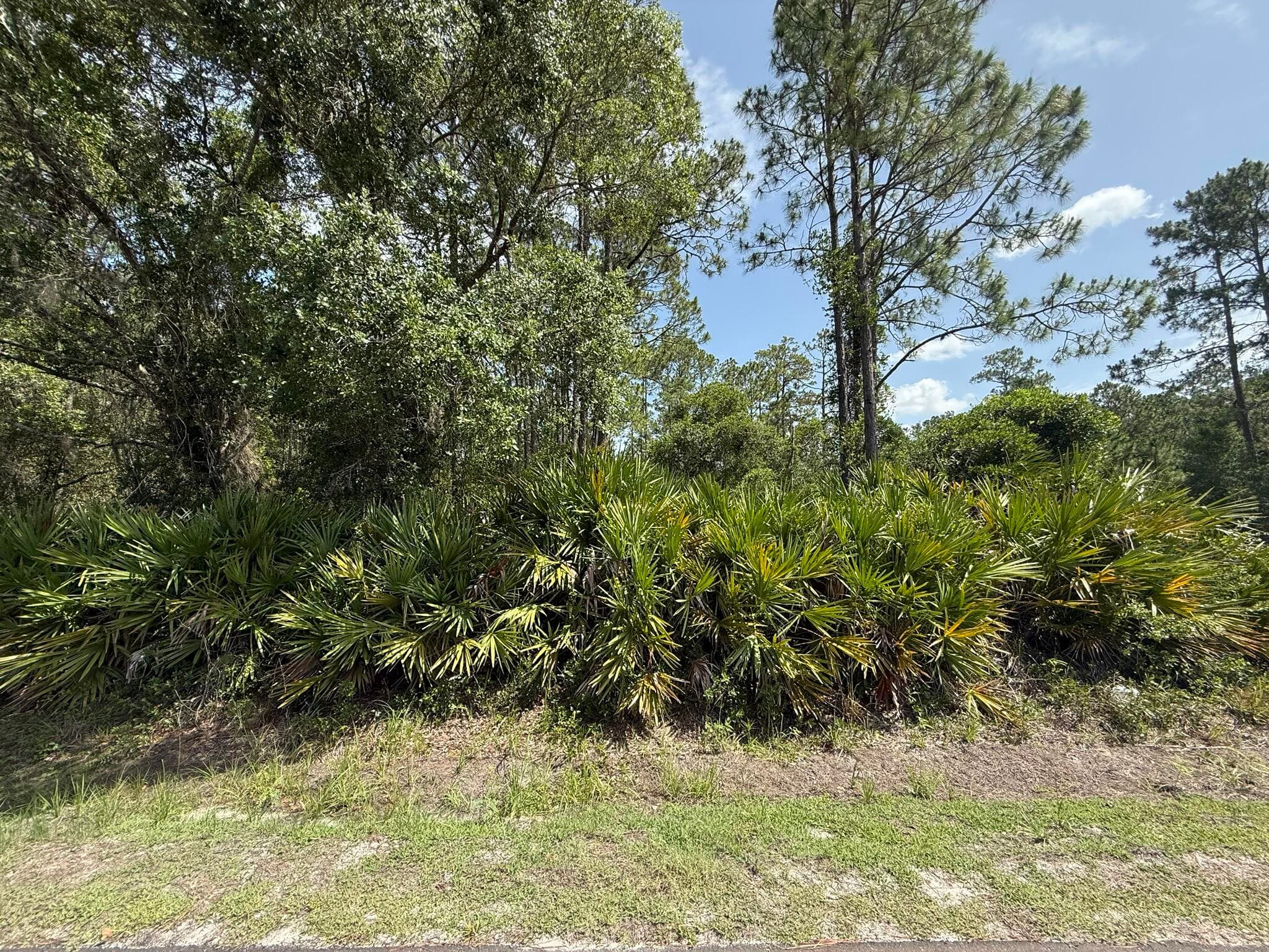 174 Millican Road, Palatka, FL 32177 4