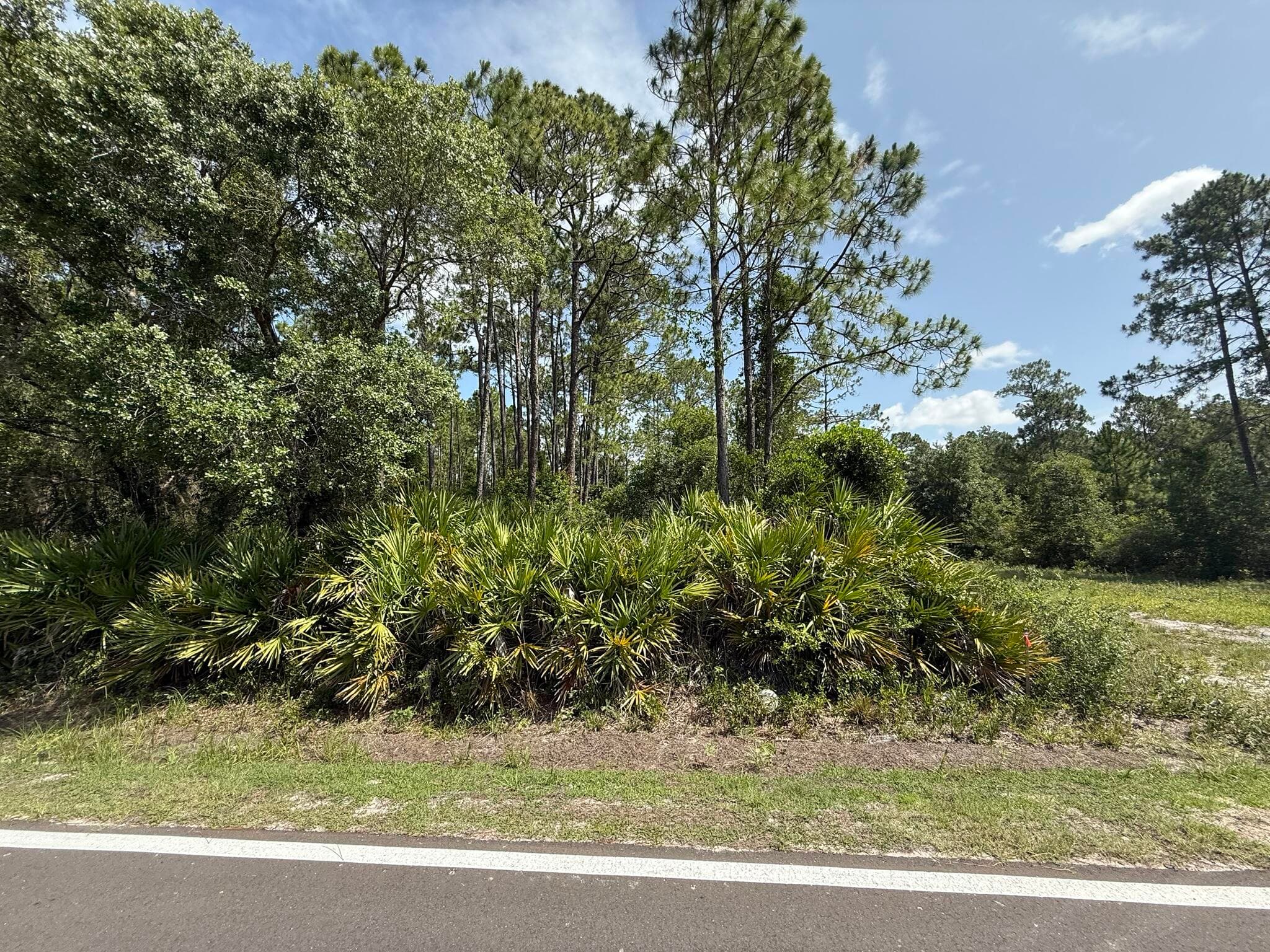 174 Millican Road, Palatka, FL 32177 6