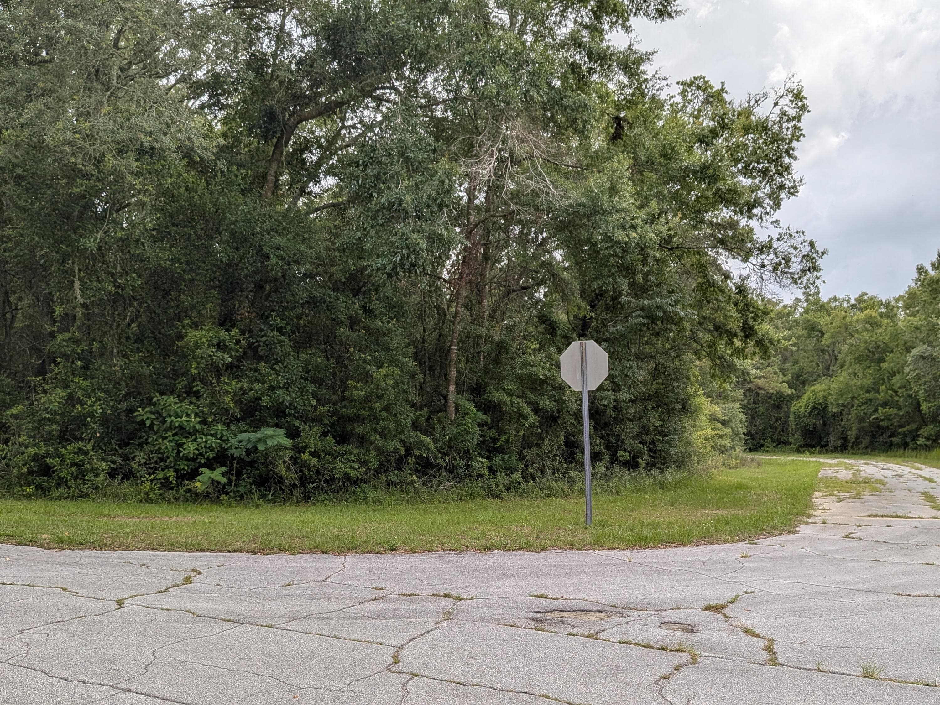 8989 N Conch Terrace, Dunnellon, FL 34434 4