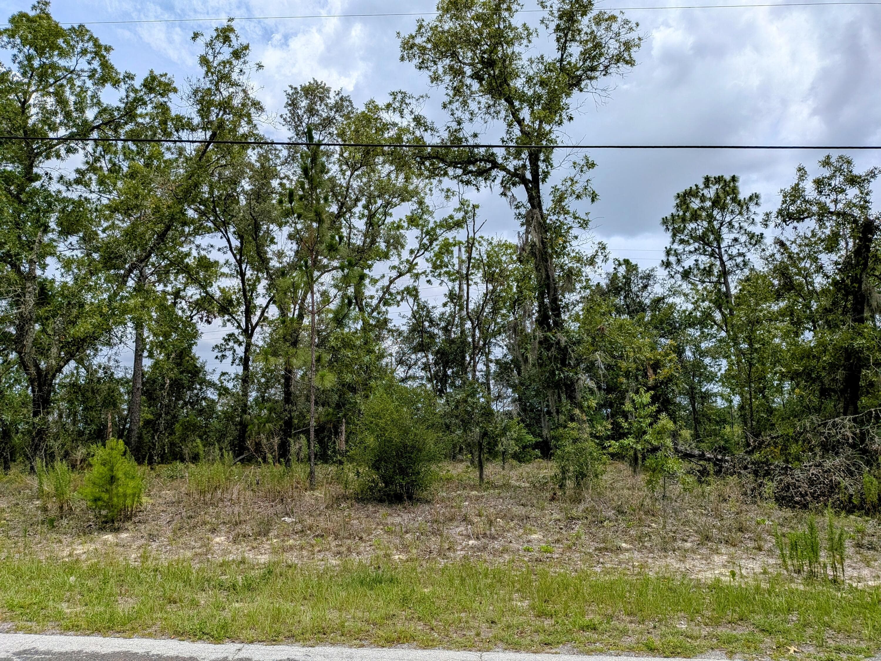 2450 W Rutland Drive, Citrus Springs, FL 34434