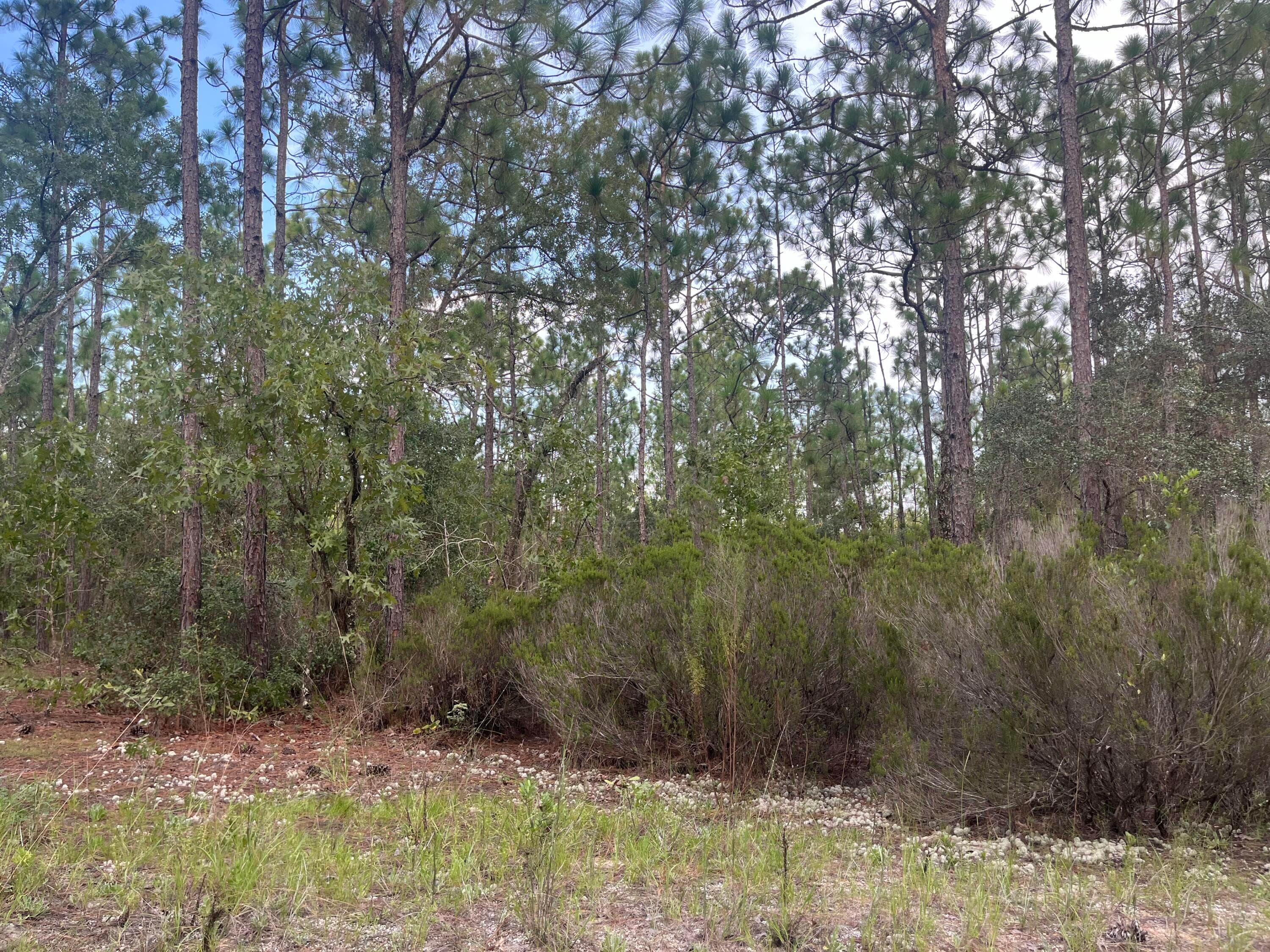 124 New York Avenue, Interlachen, FL 32148 7