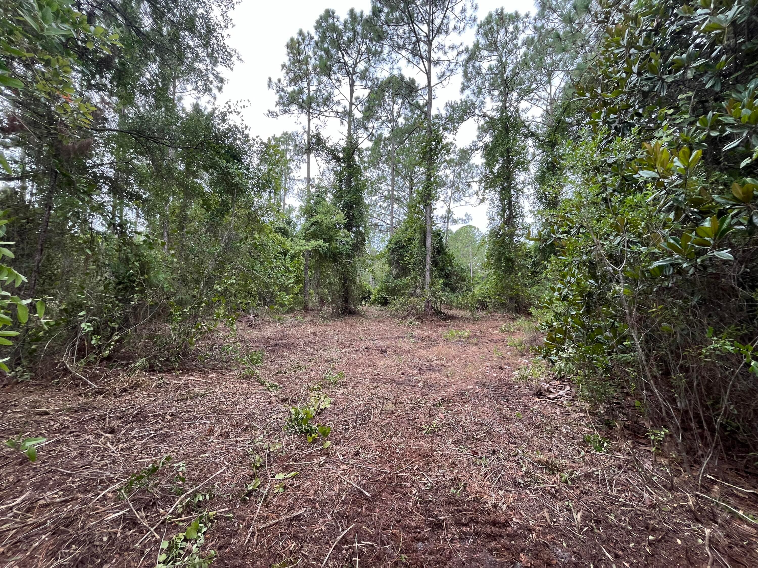 147 Roebuck Street, Georgetown, FL 32139 4