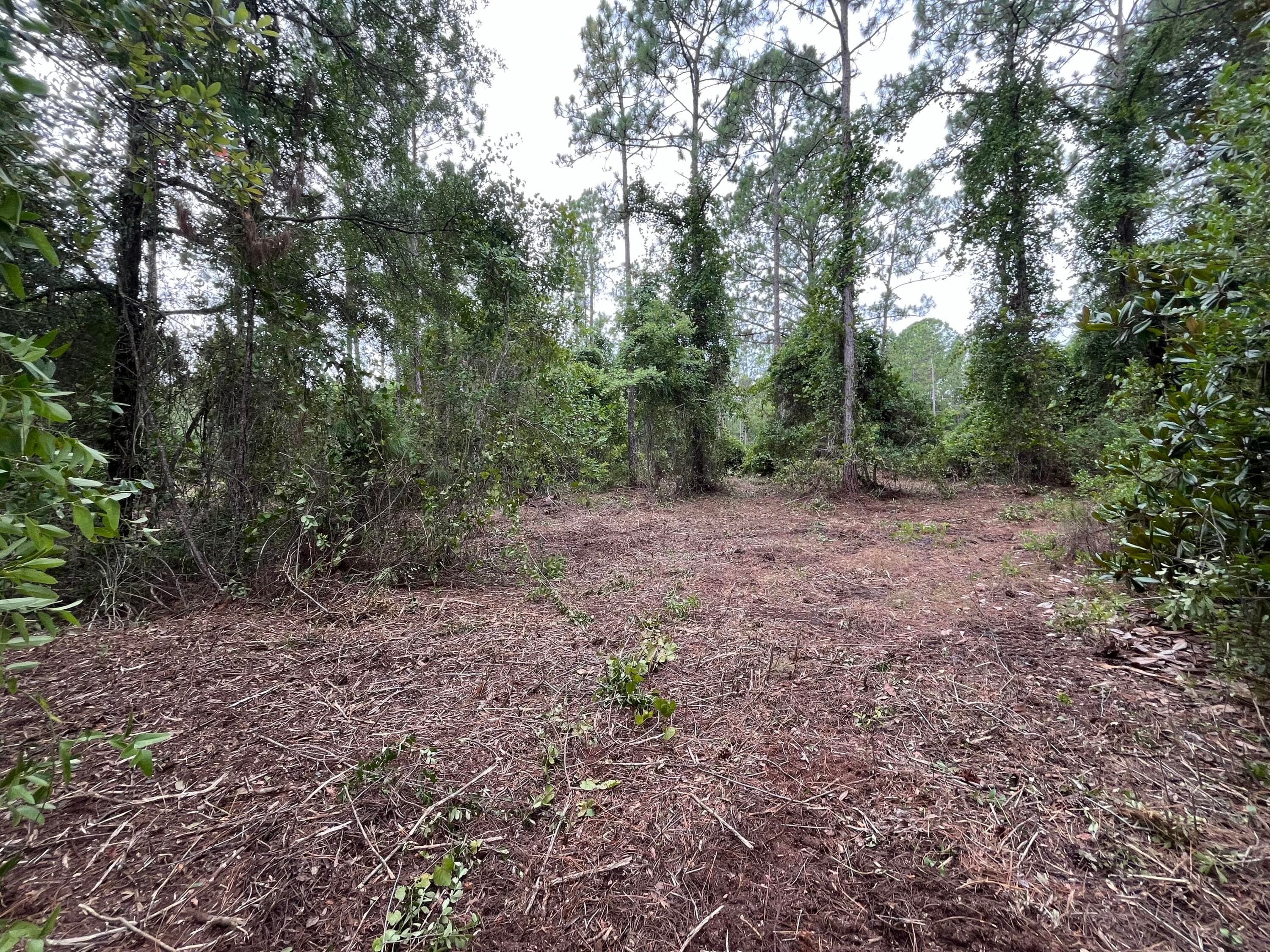 147 Roebuck Street, Georgetown, FL 32139 5