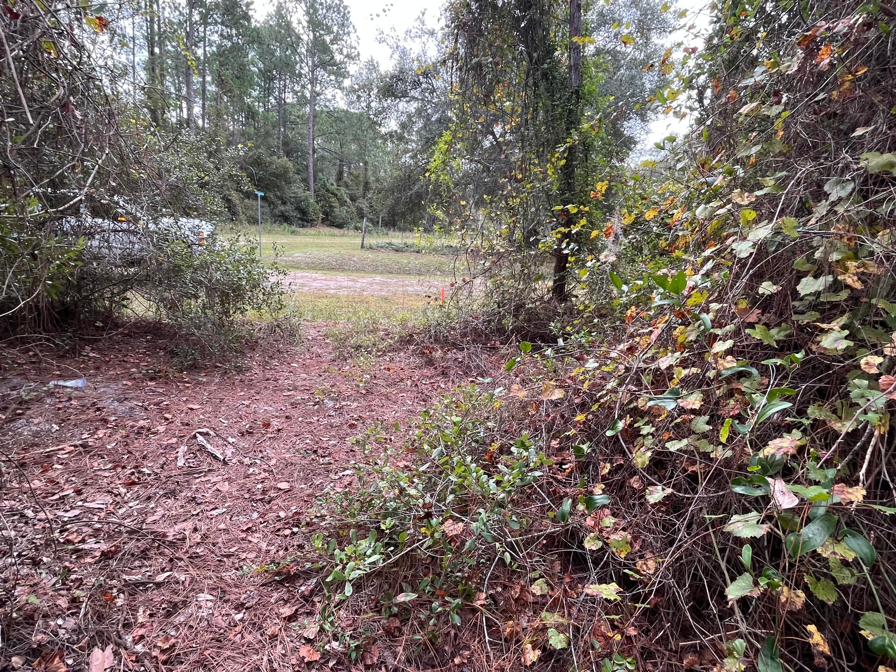 108 SE 5th Street, Georgetown, FL 32139 2