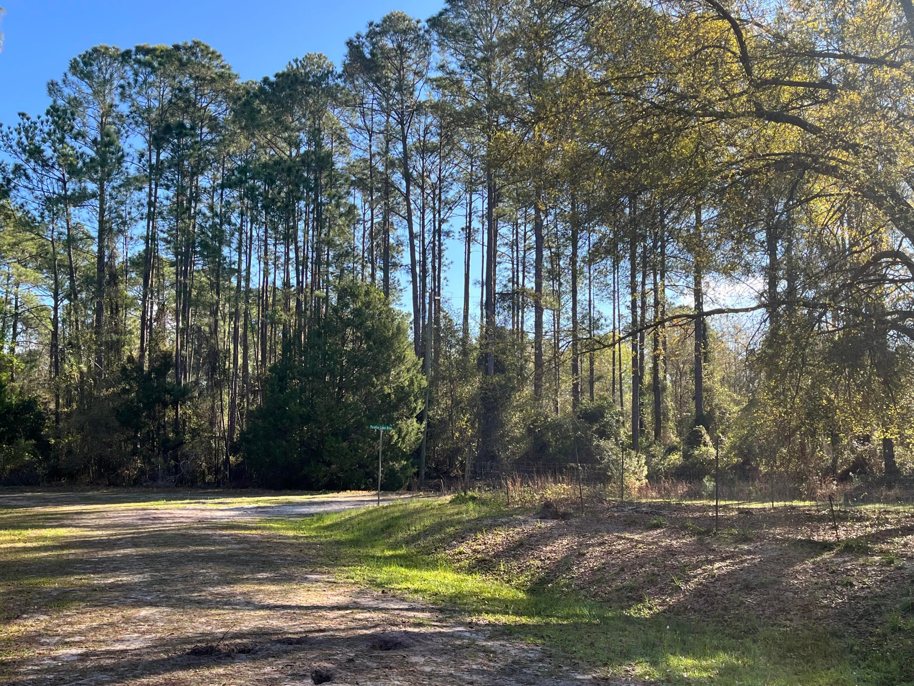 104 SE 5th Street, Georgetown, FL 32139 5