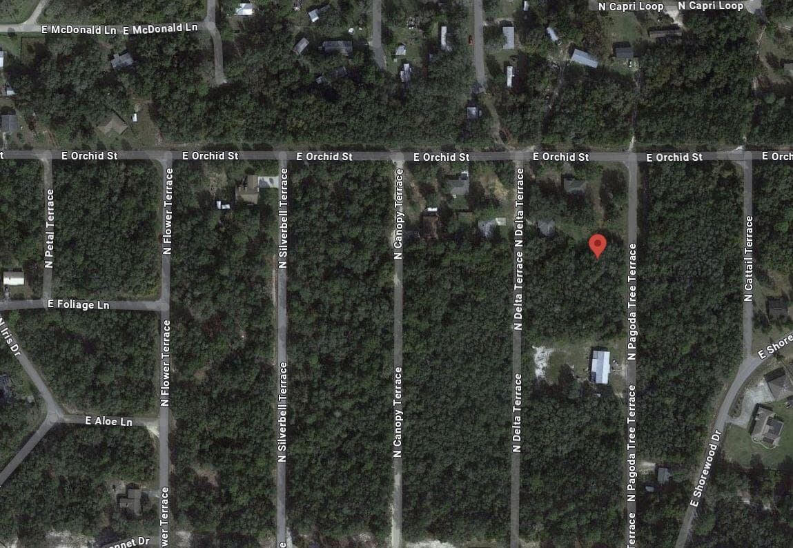 6634 N Pagoda Tree Terrace, Hernando, FL 34442 2