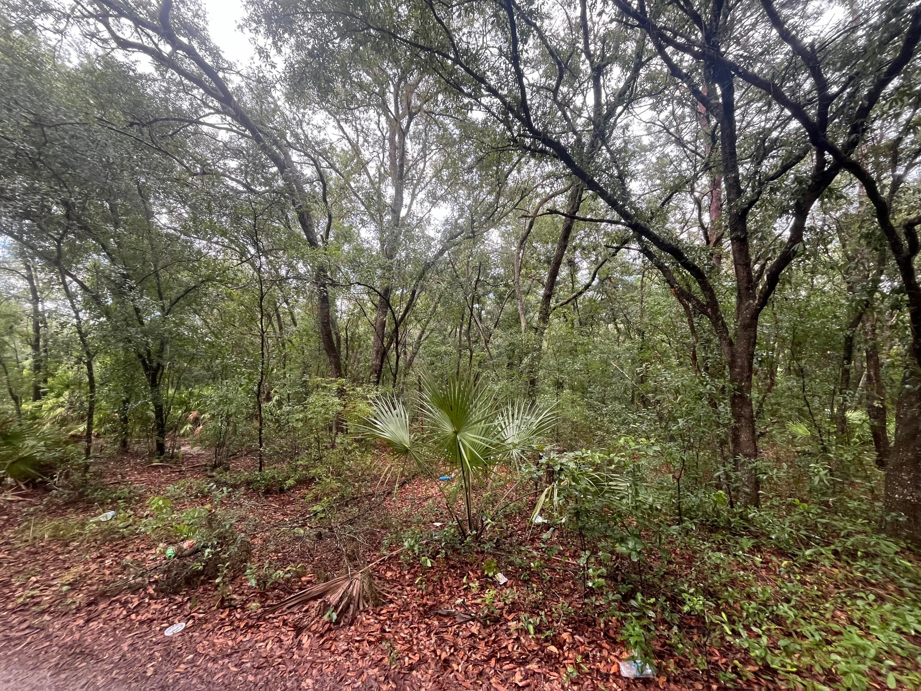 Tbd Delaware Avenue, Interlachen, FL 32148 5