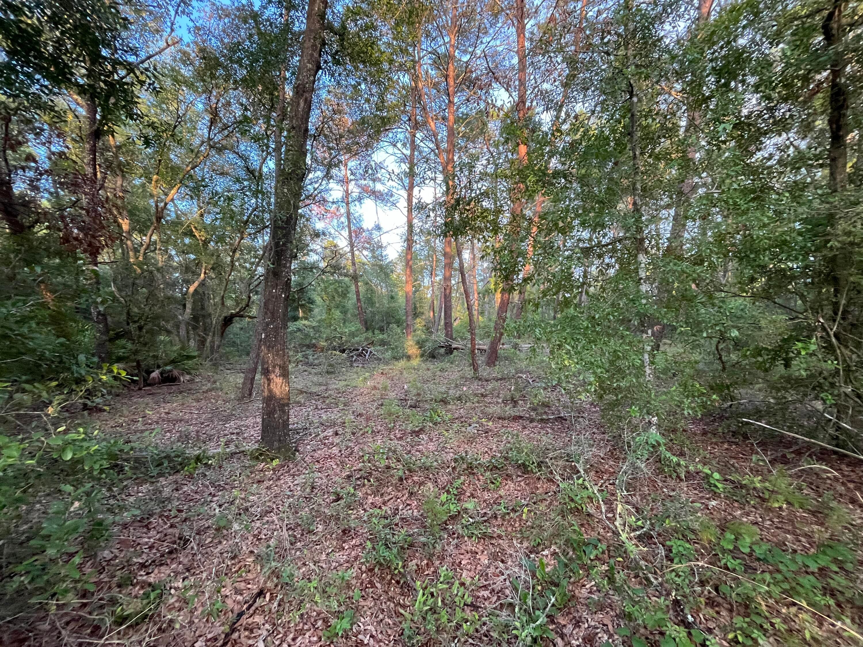 Tbd Twin Lakes Road, Interlachen, FL 32148 3