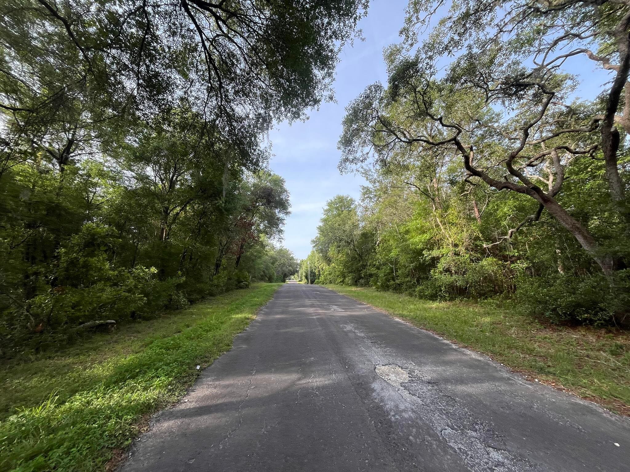 6634 N Pagoda Tree Terrace, Hernando, FL 34442 8
