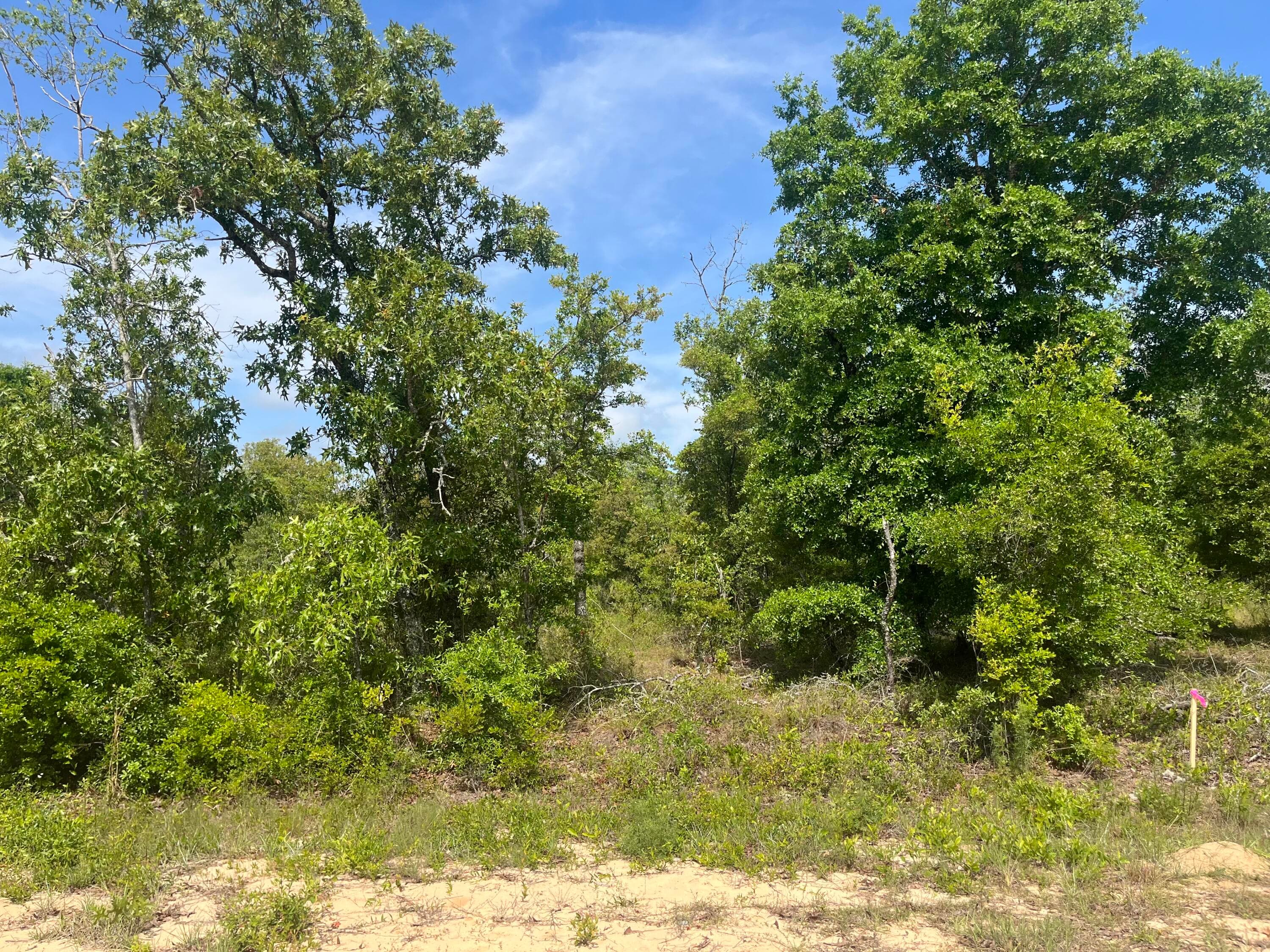 Tbd Rome Avenue, Alford, FL 32420