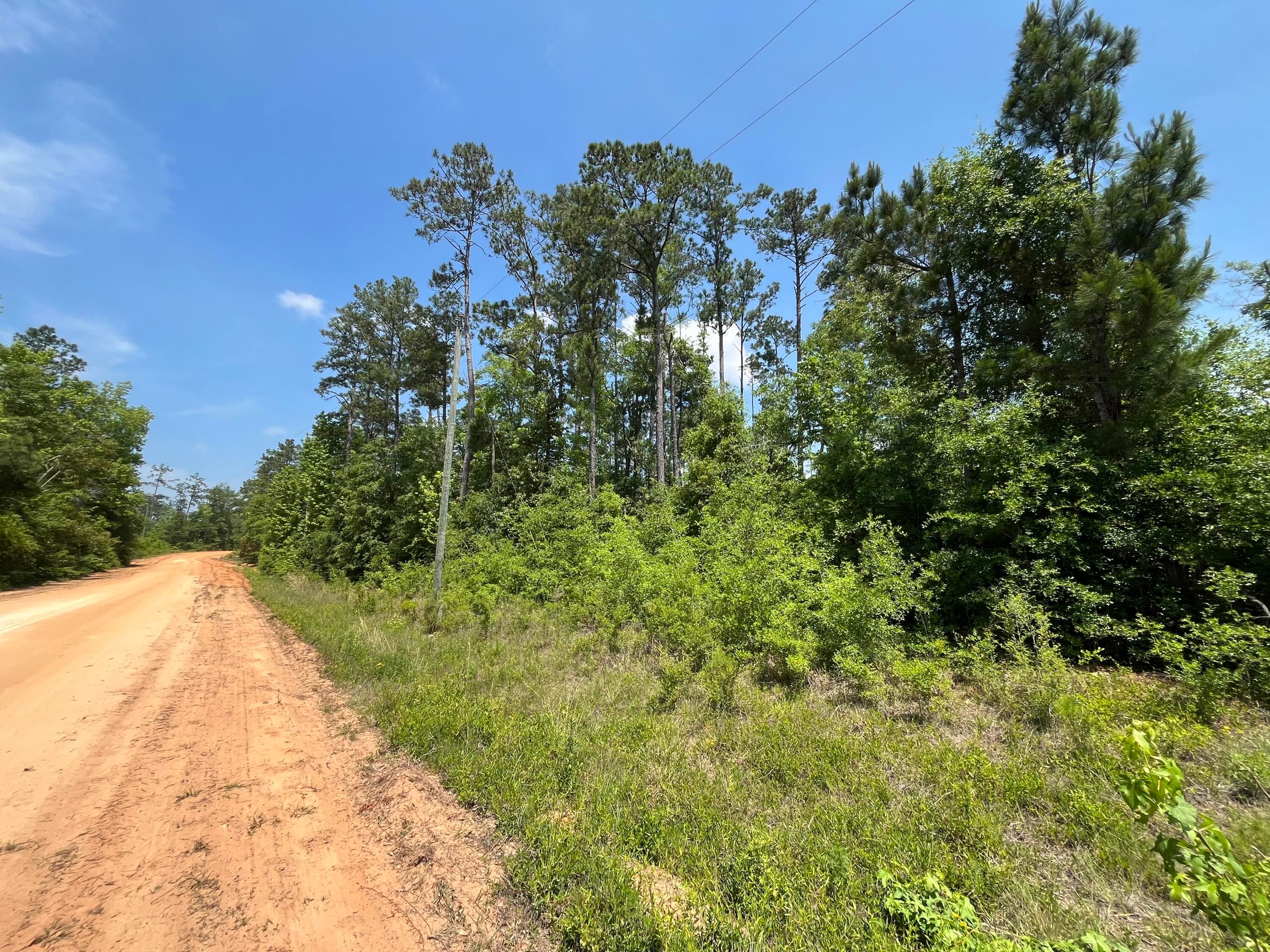 Tbd Grand Quiviera Circle, Alford, FL 32420 2