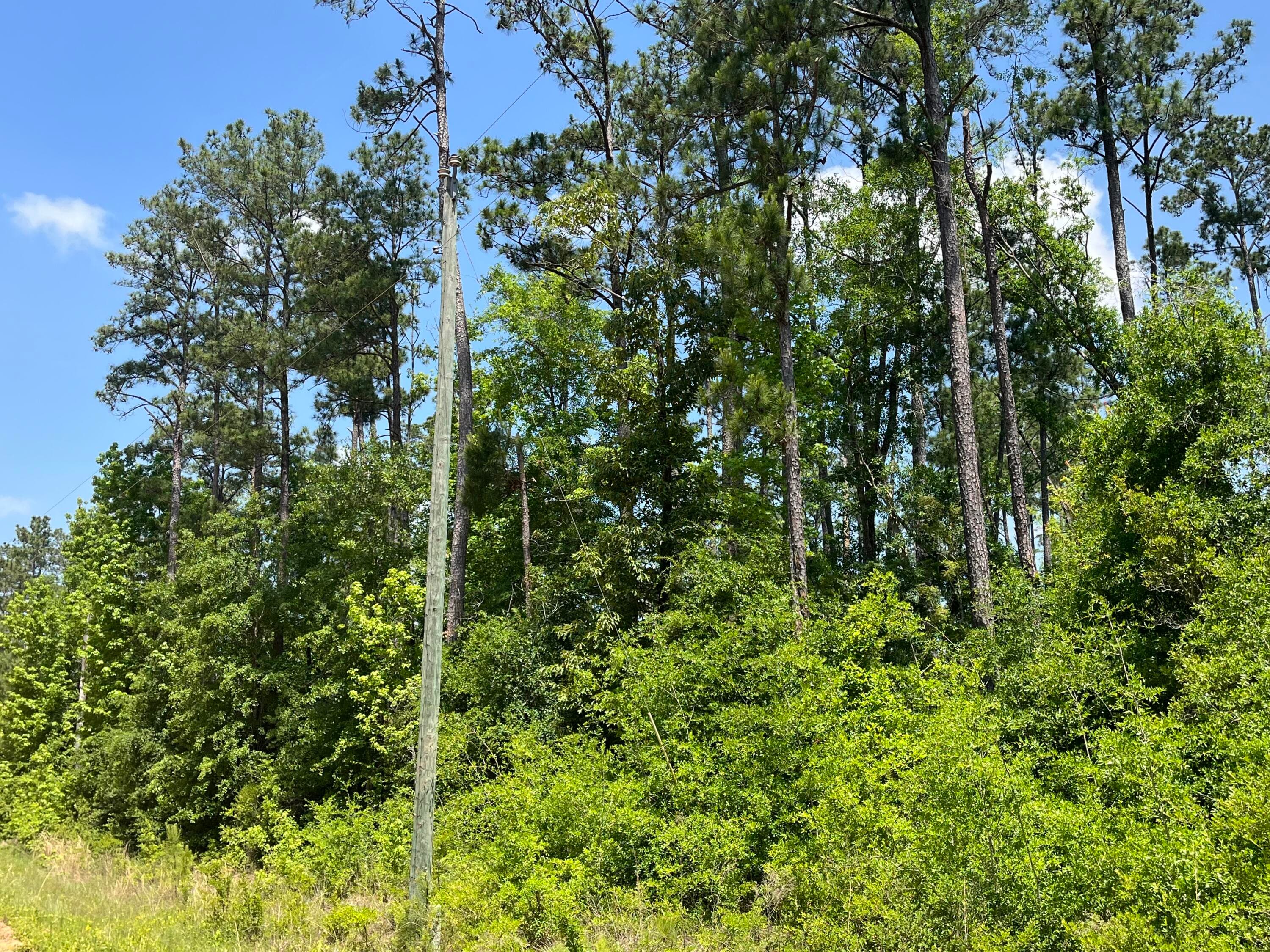 Tbd Grand Quiviera Circle, Alford, FL 32420 4