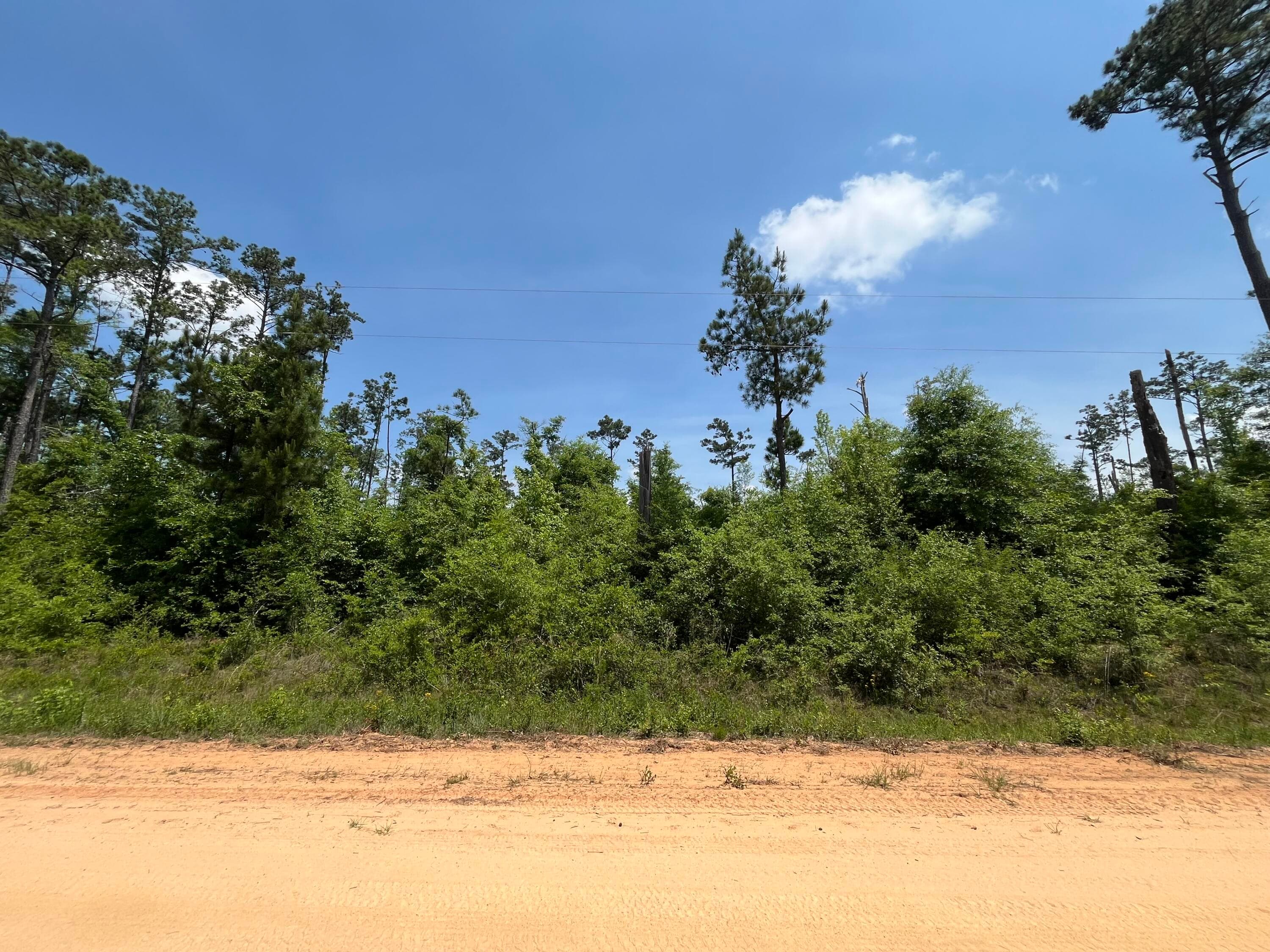Tbd Grand Quiviera Circle, Alford, FL 32420 6