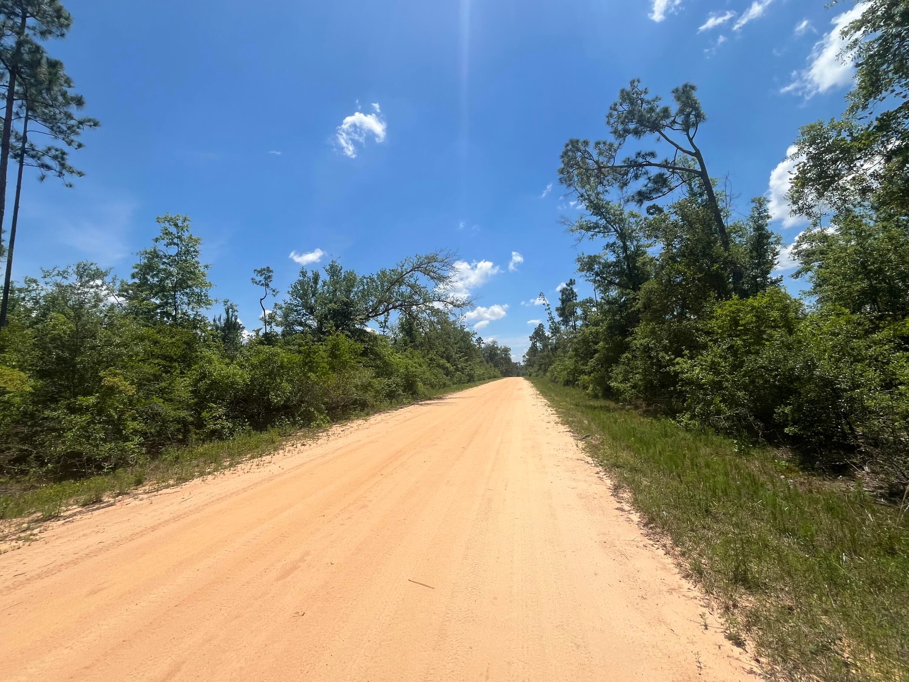 Tbd Tamarac Road, Marianna, FL 32448 2