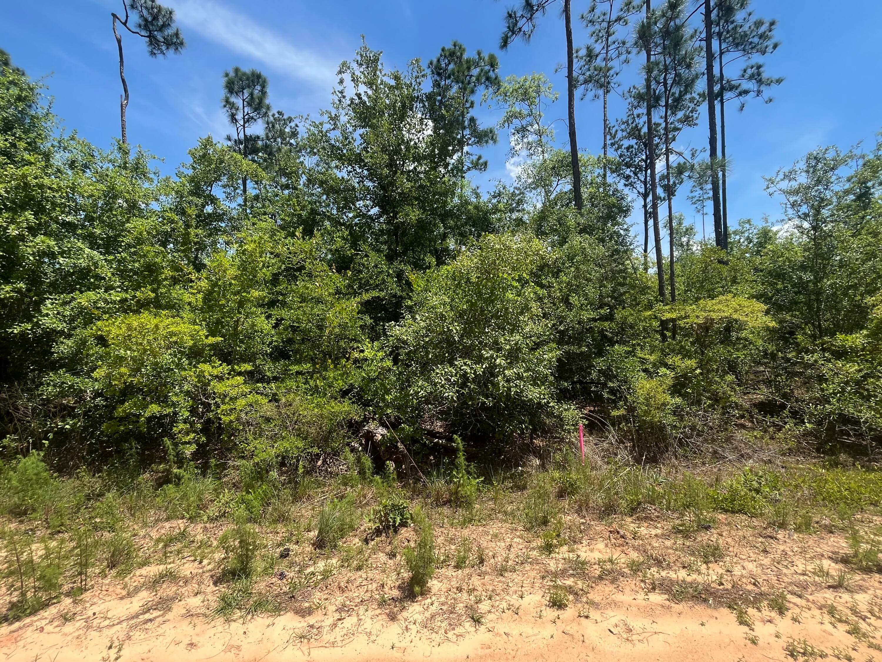Tbd Tamarac Road, Marianna, FL 32448 3