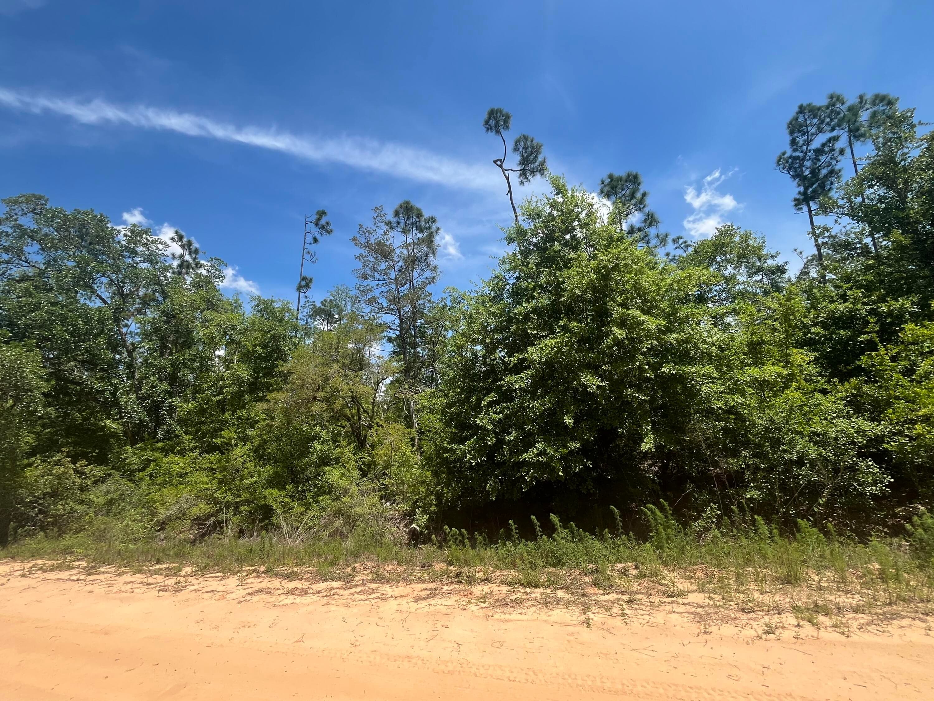 Tbd Tamarac Road, Marianna, FL 32448 4