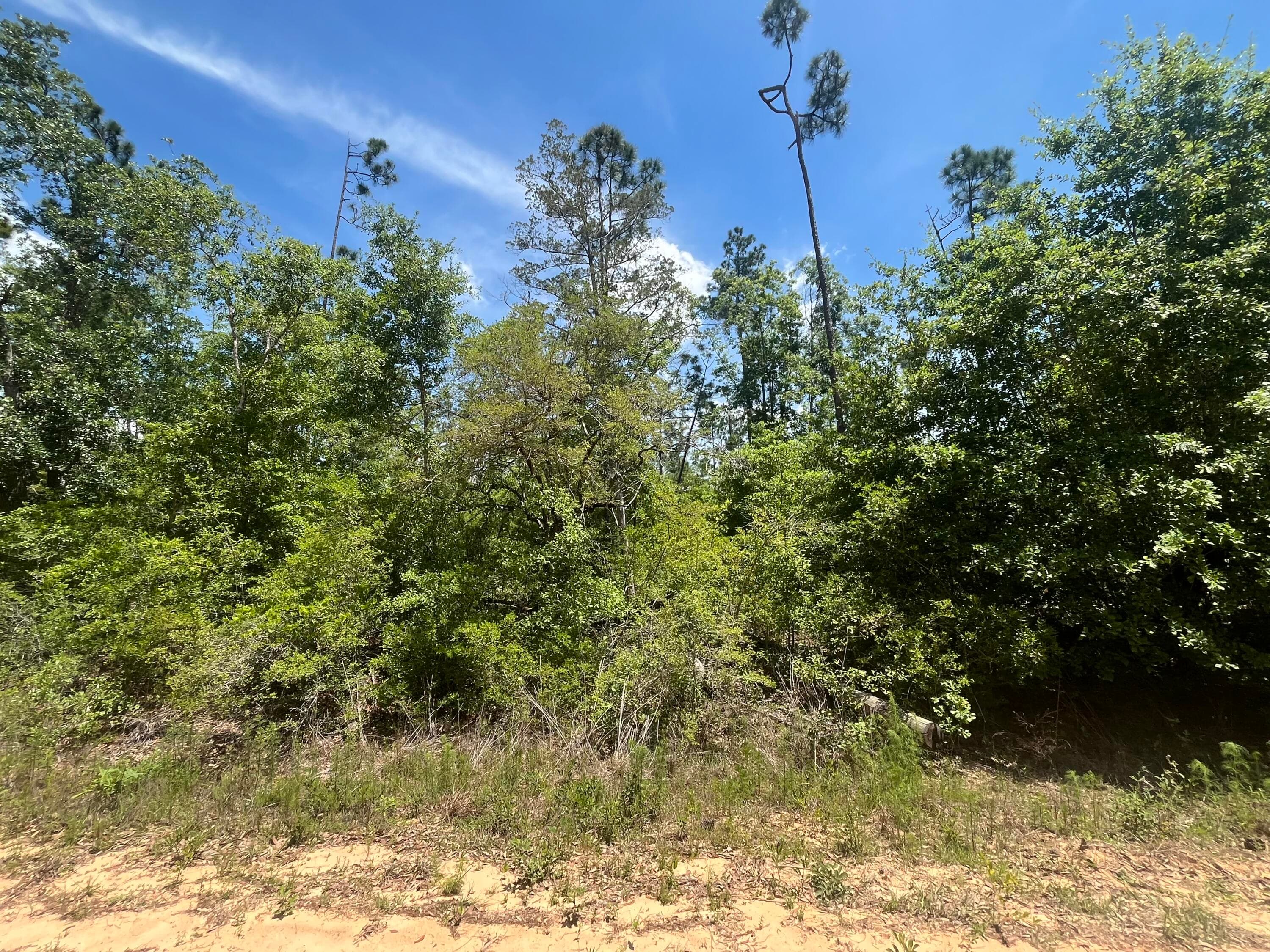Tbd Tamarac Road, Marianna, FL 32448 5